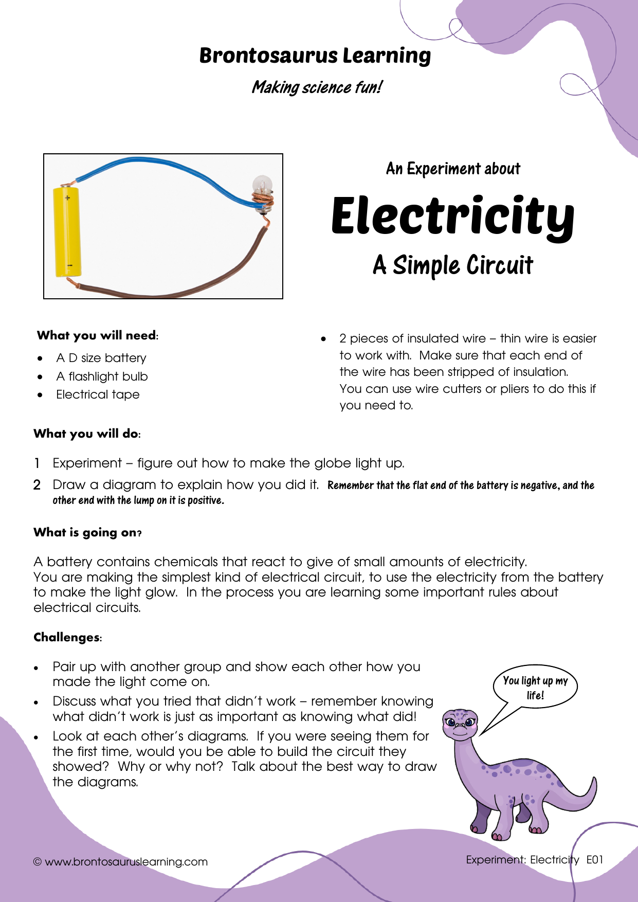 Electricity Experiment E01: Simple Circuits 2 Student resource page preview for Electricity Experiment: A Simple Circuit