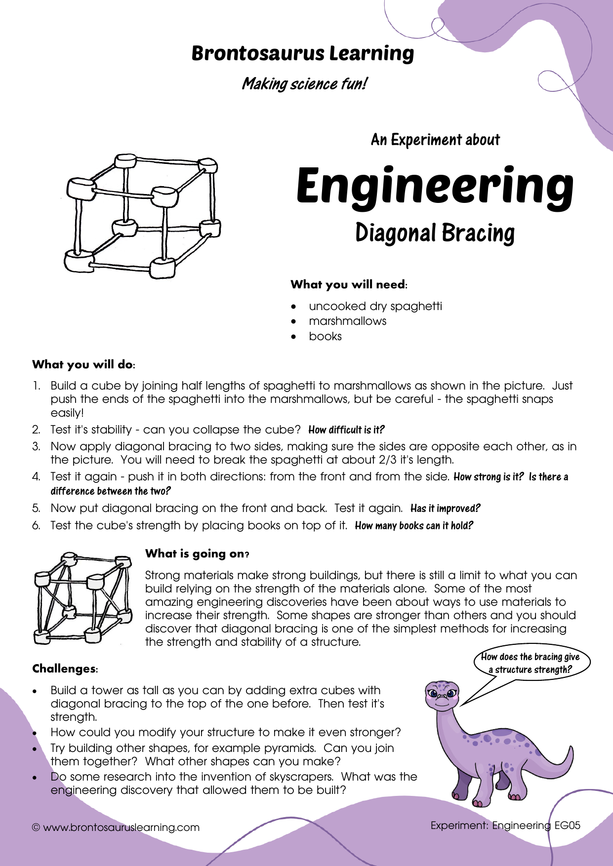 Engineering Experiment EG05: Bracing 2 Student resource page preview for Engineering Experiment: Bracing