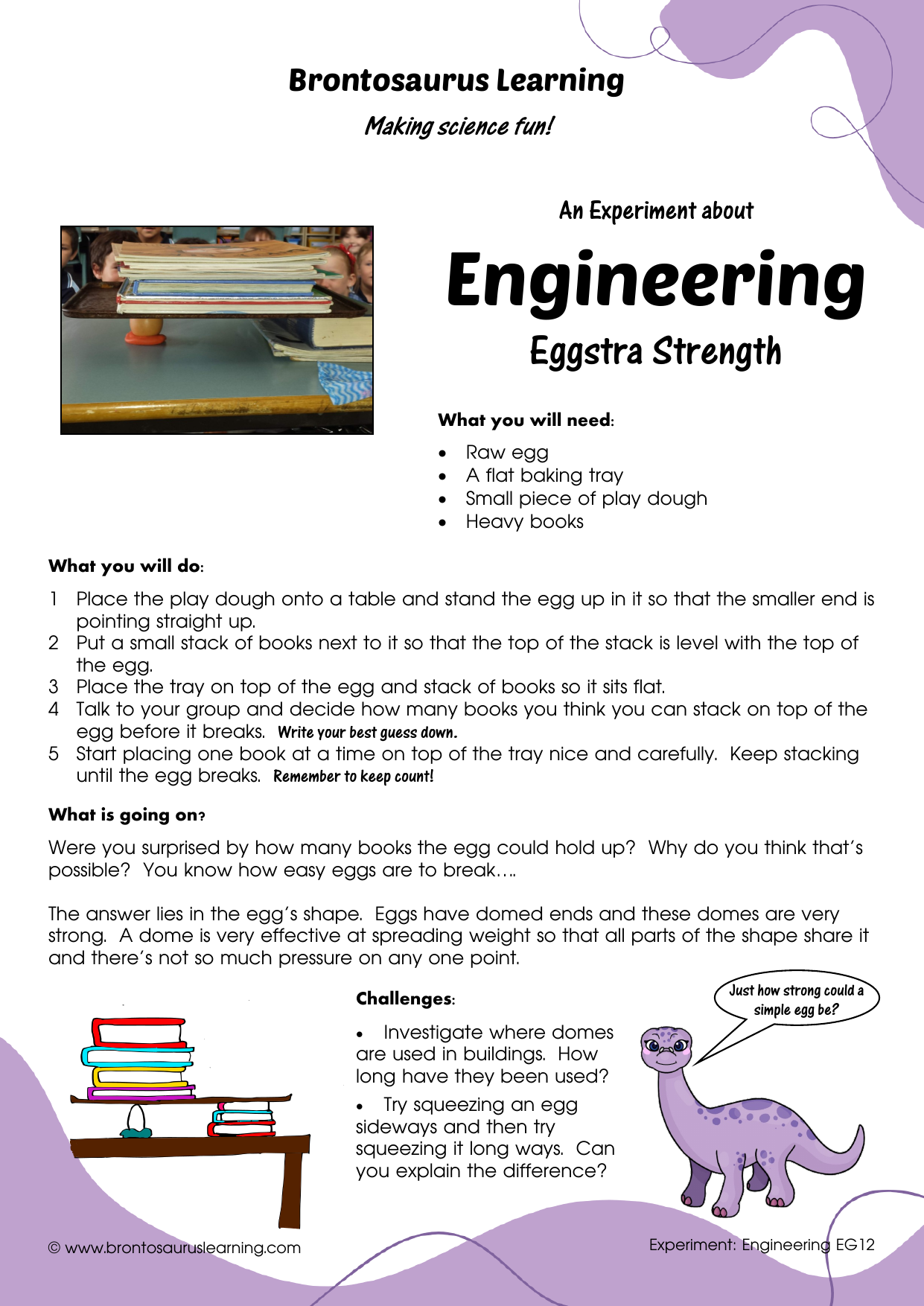 Engineering Experiment EG12: Eggstra Strength 2 Student resource page preview for Engineering Experiment: Eggstra Strength