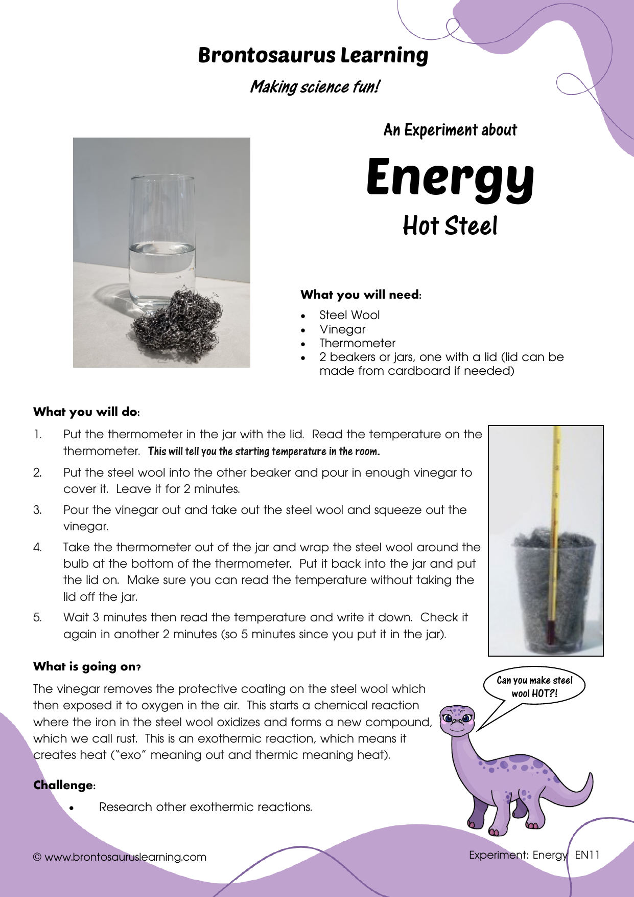 Student resource page preview for Energy Experiment: Hot Steel