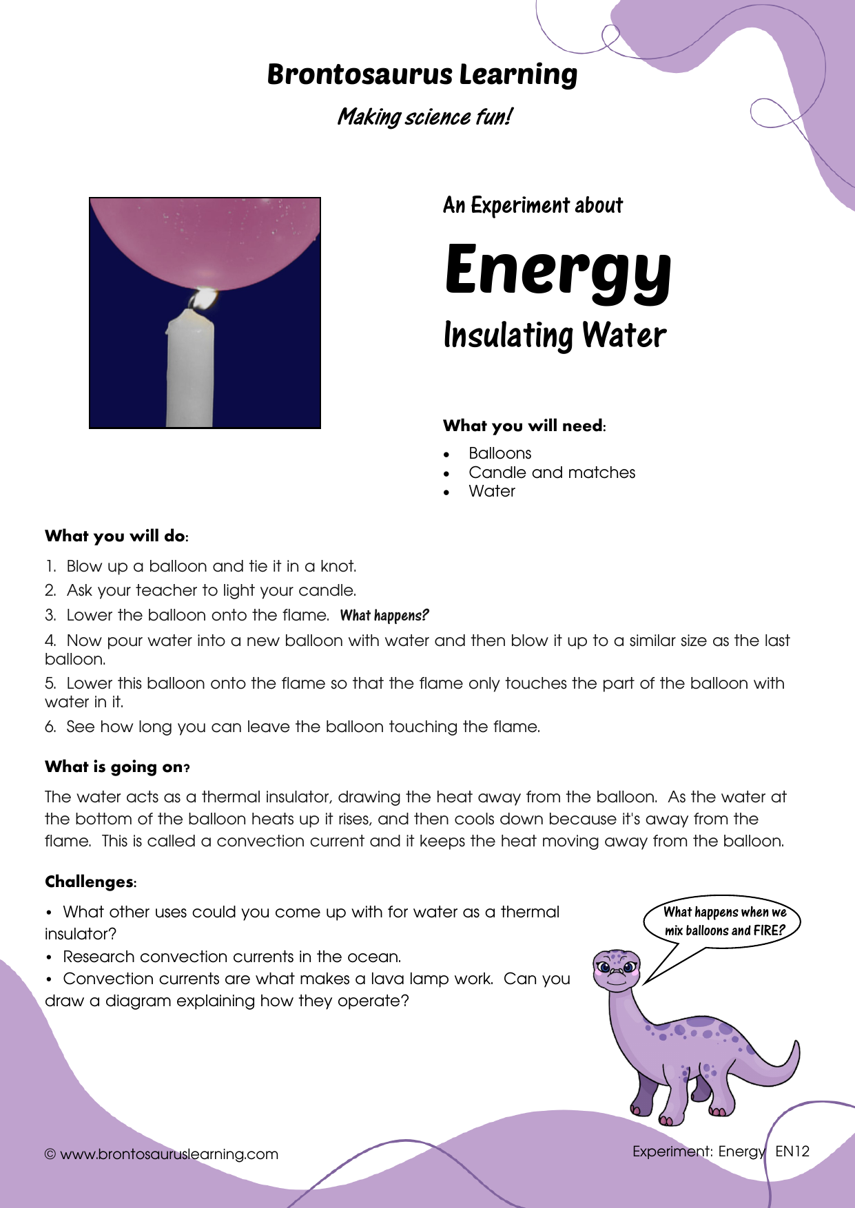 Student resource page preview for Energy Experiment: Insulating Water