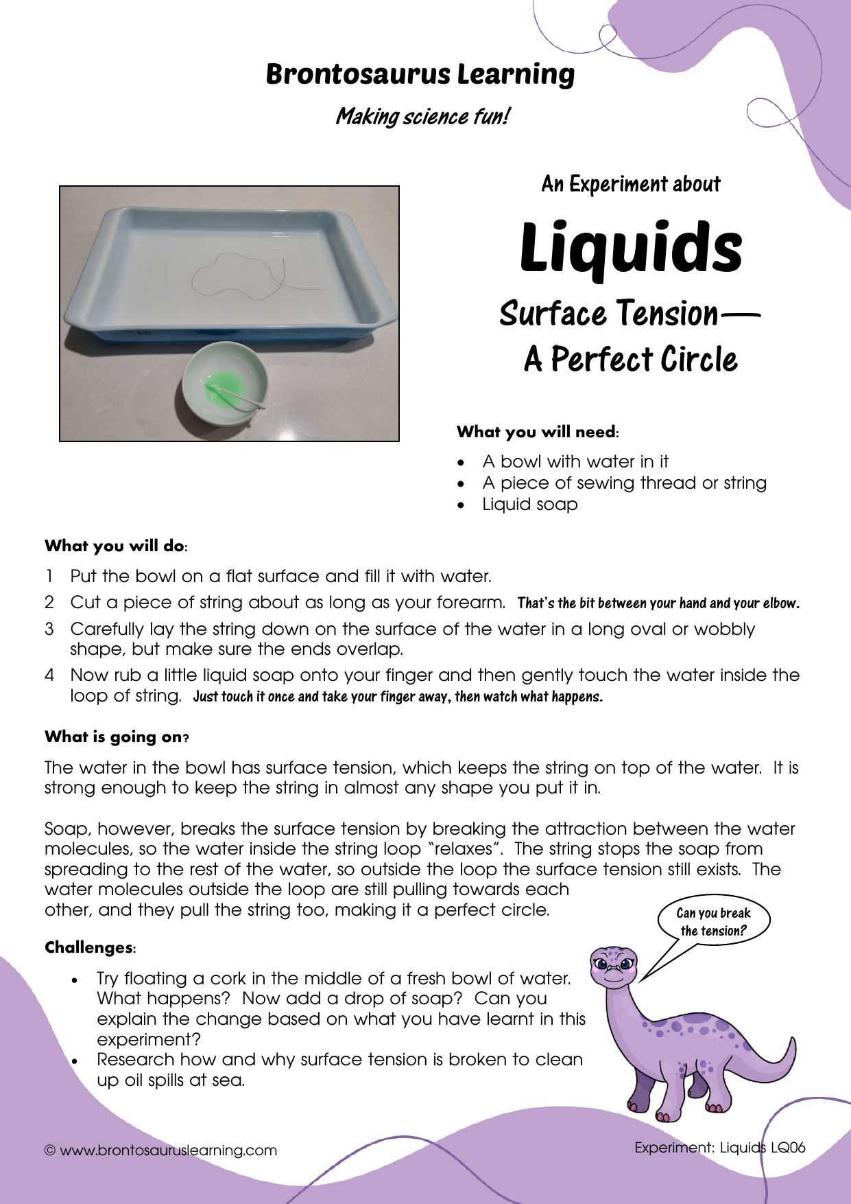 Liquid Experiment LQ06: Surface Tension - Perfect Circle 2 Student resource page preview for Liquids Experiment: Surface Tension - Perfect Circle