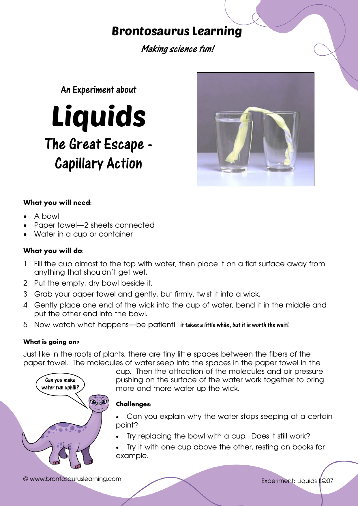 Student resource page preview for Liquids Experiment: Walking Water