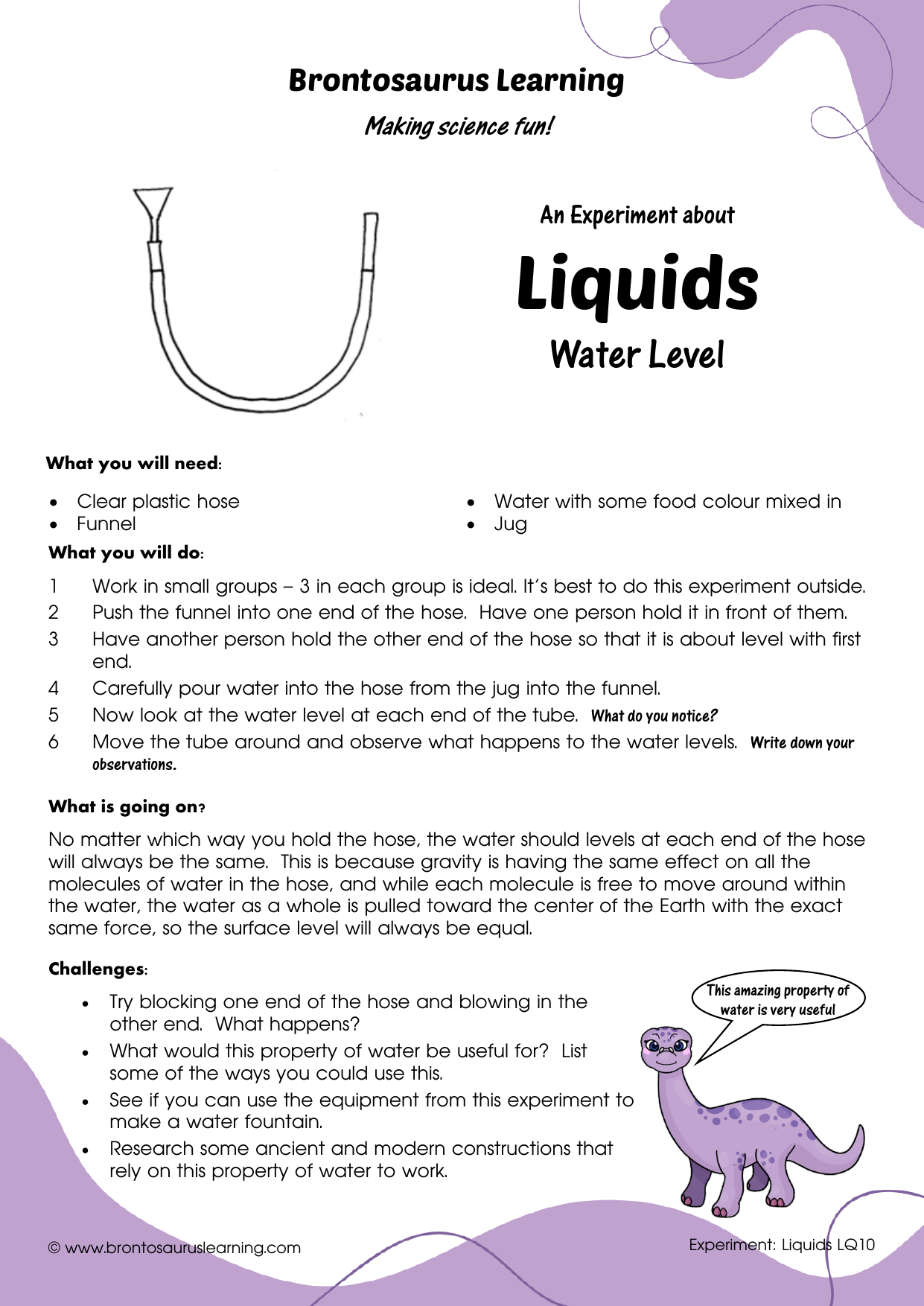 Liquid Experiment LQ09: Water Level 2 Student resource page preview for Liquids Experiment: Water Level