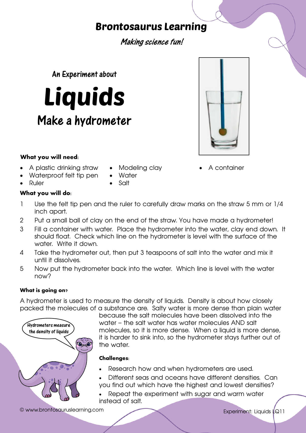 Liquid Experiment LQ10: Make a Hydrometer 2 Student resource page preview for Liquids Experiment: Make a Hydrometer