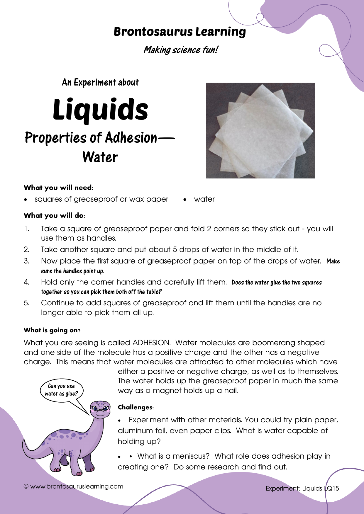 Liquid Experiment LQ14: Sticky Paper 2 Student resource page preview for Liquids Experiment: Sticky Paper