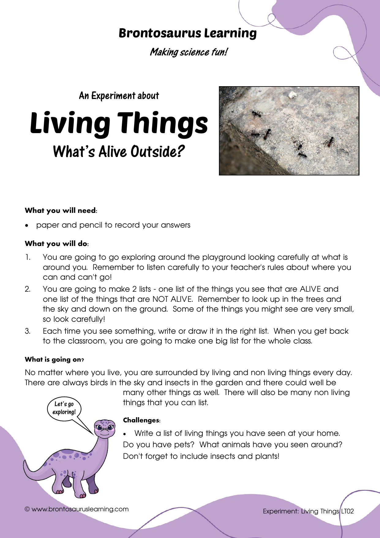 Student resource page preview for Living Things Experiment: Was it Ever Alive?
