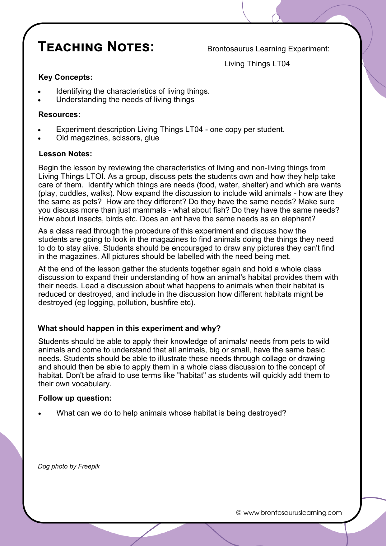 Living Things Experiment LT05: Collecting Animals 3 Teacher notes page preview for Living Things Experiment: Collecting Animals