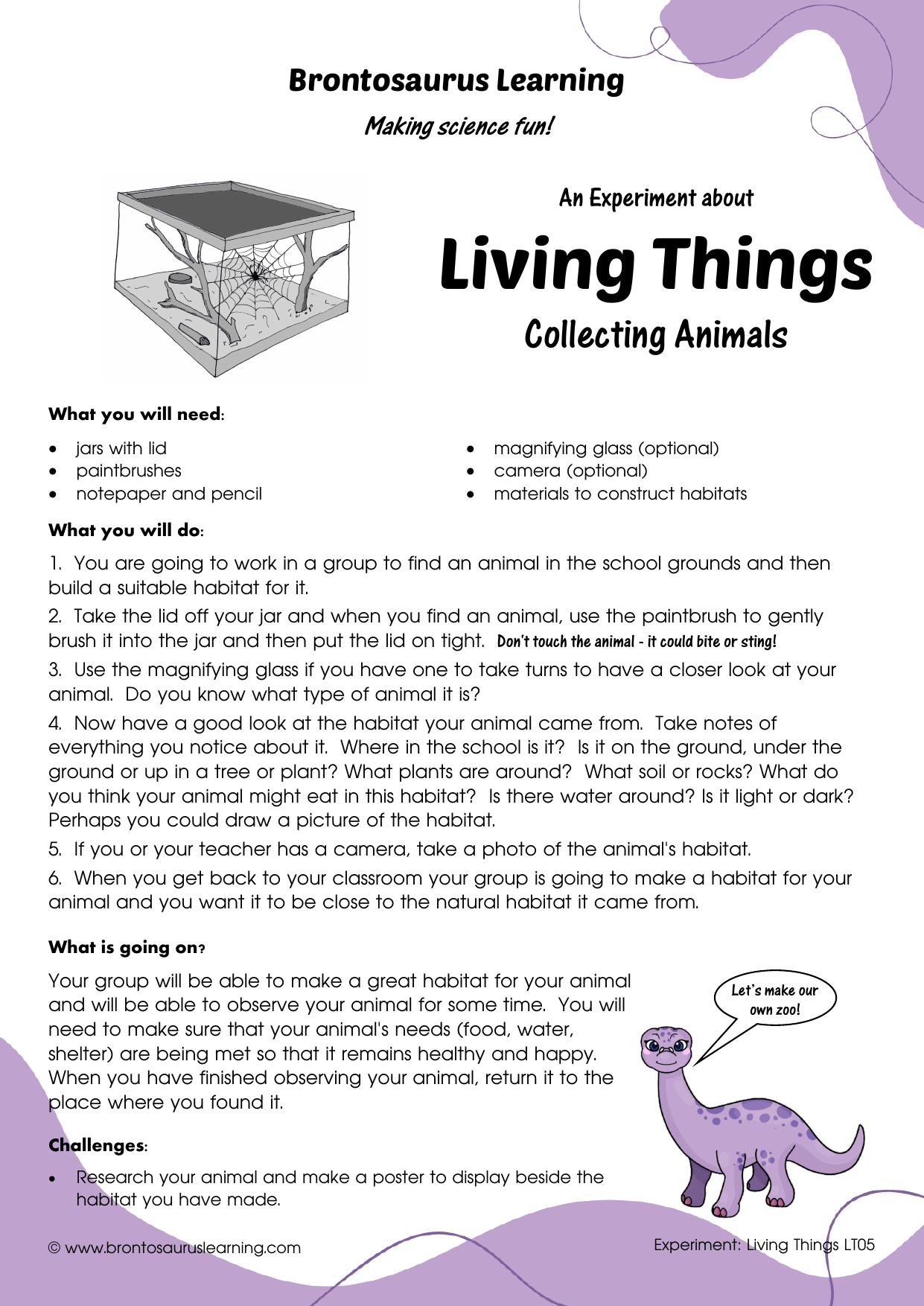 Living Things Experiment LT06: Classifying Animals 2 Student resource page preview for Living Things Experiment: Classifying Animals