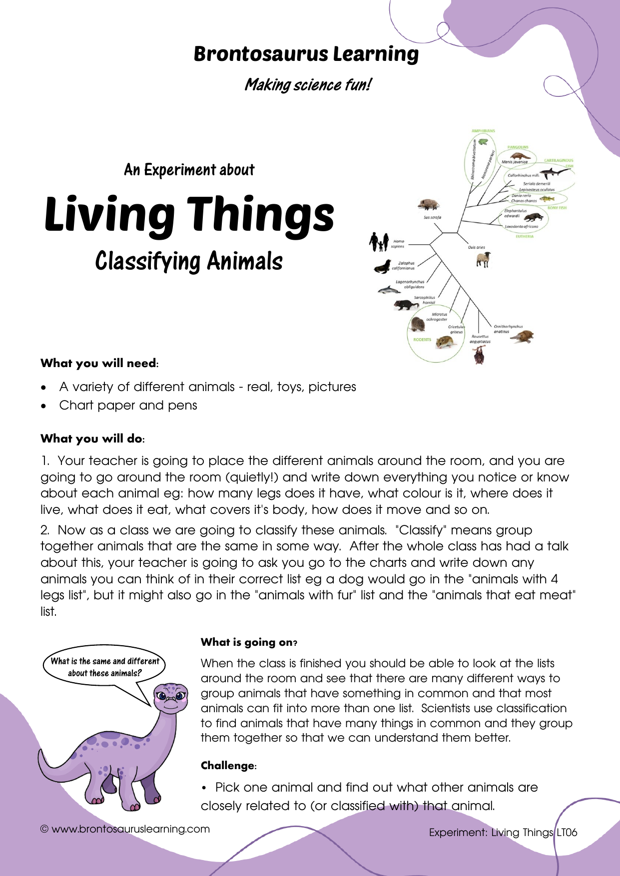 Living Things Experiment LT07: Plant or Animal? 2 Student resource page preview for Living Things Experiment: Plant or Animal?