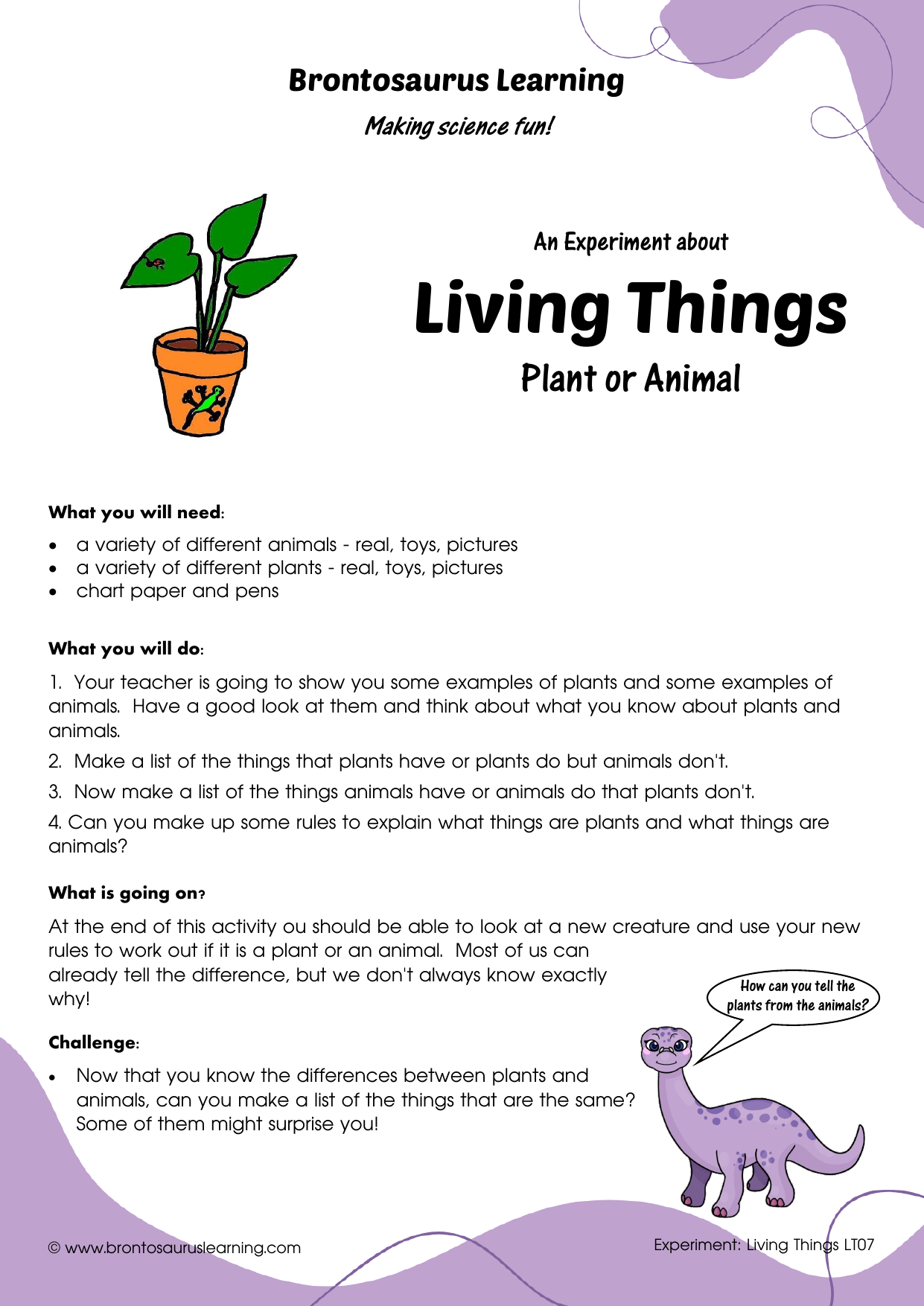 Living Things Experiment LT08: Do Plants Eat? 2 Student resource page preview for Living Things Experiment: Do Plants Eat?