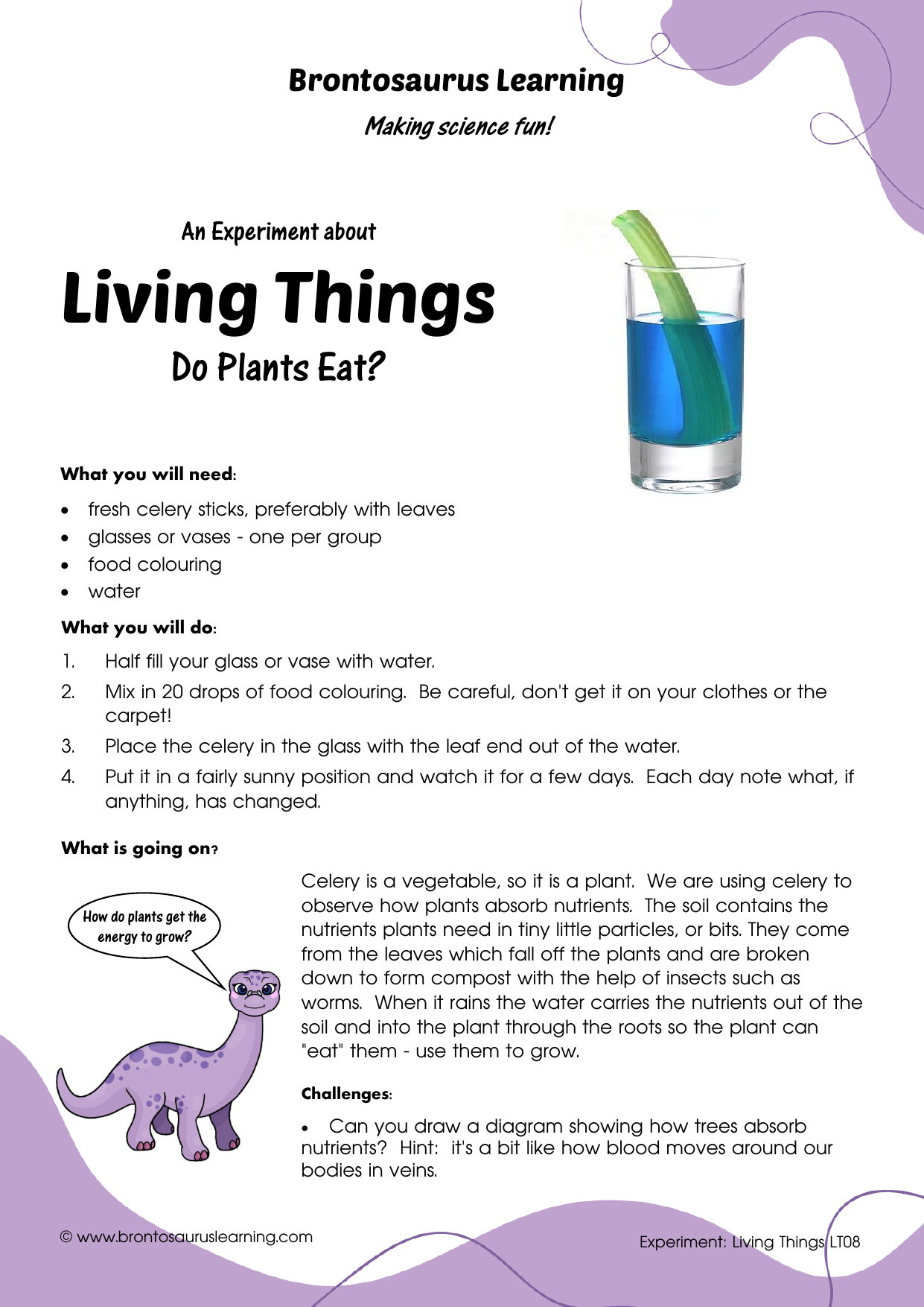 Living Things Experiment LT08: Do Plants Eat? 2 Student resource page preview for Living Things Experiment: Do Plants Eat?