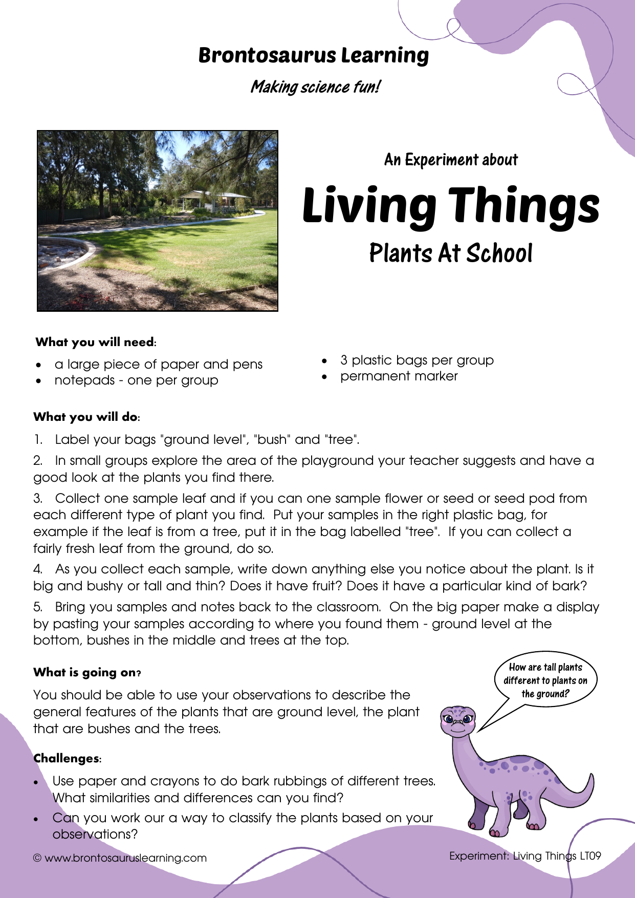 Student resource page preview for Living Things Experiment: Plants at School