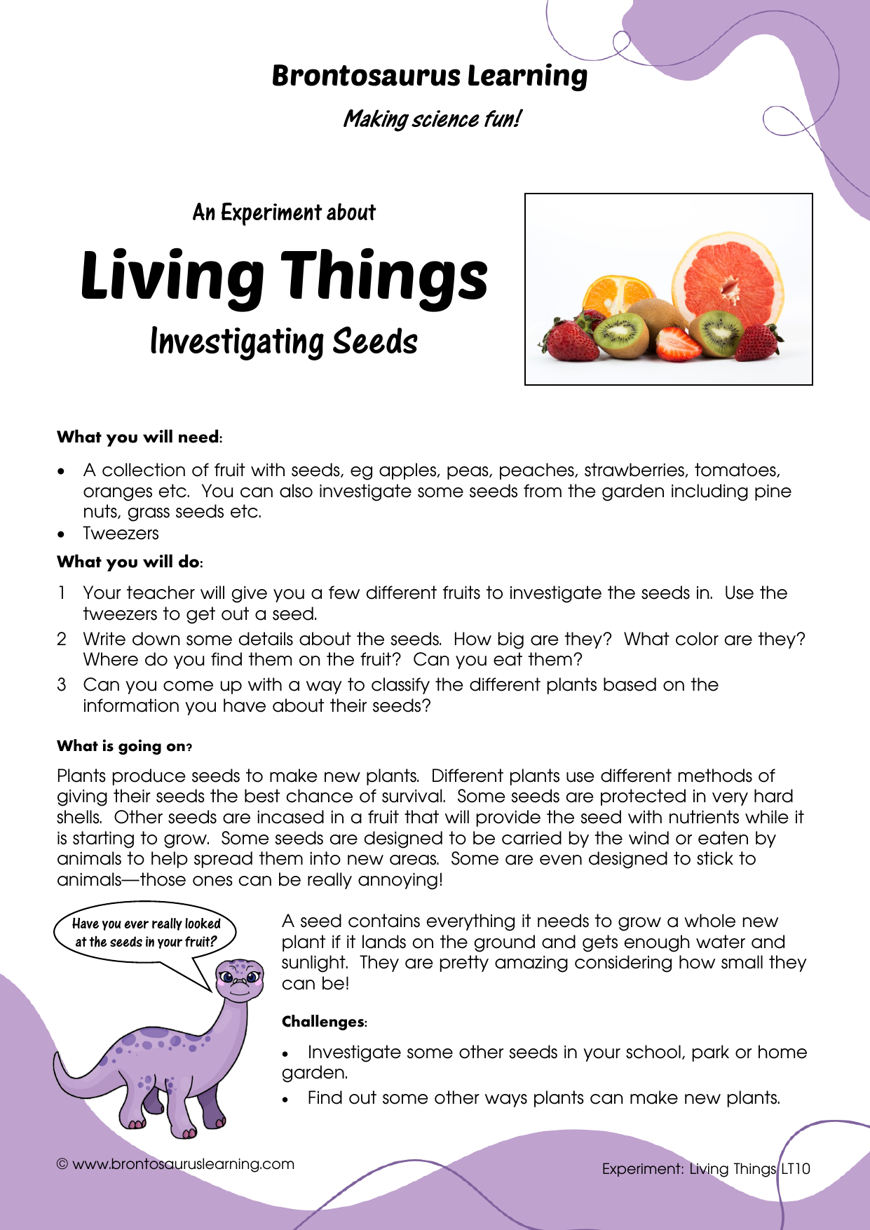 Student resource page preview for Living Things Experiment: Investigating Seeds