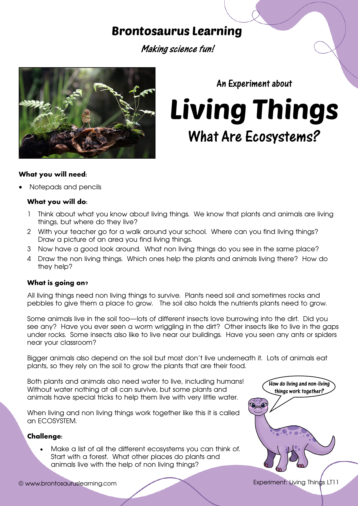 Student resource page preview for Living Things Experiment: Design An Insect