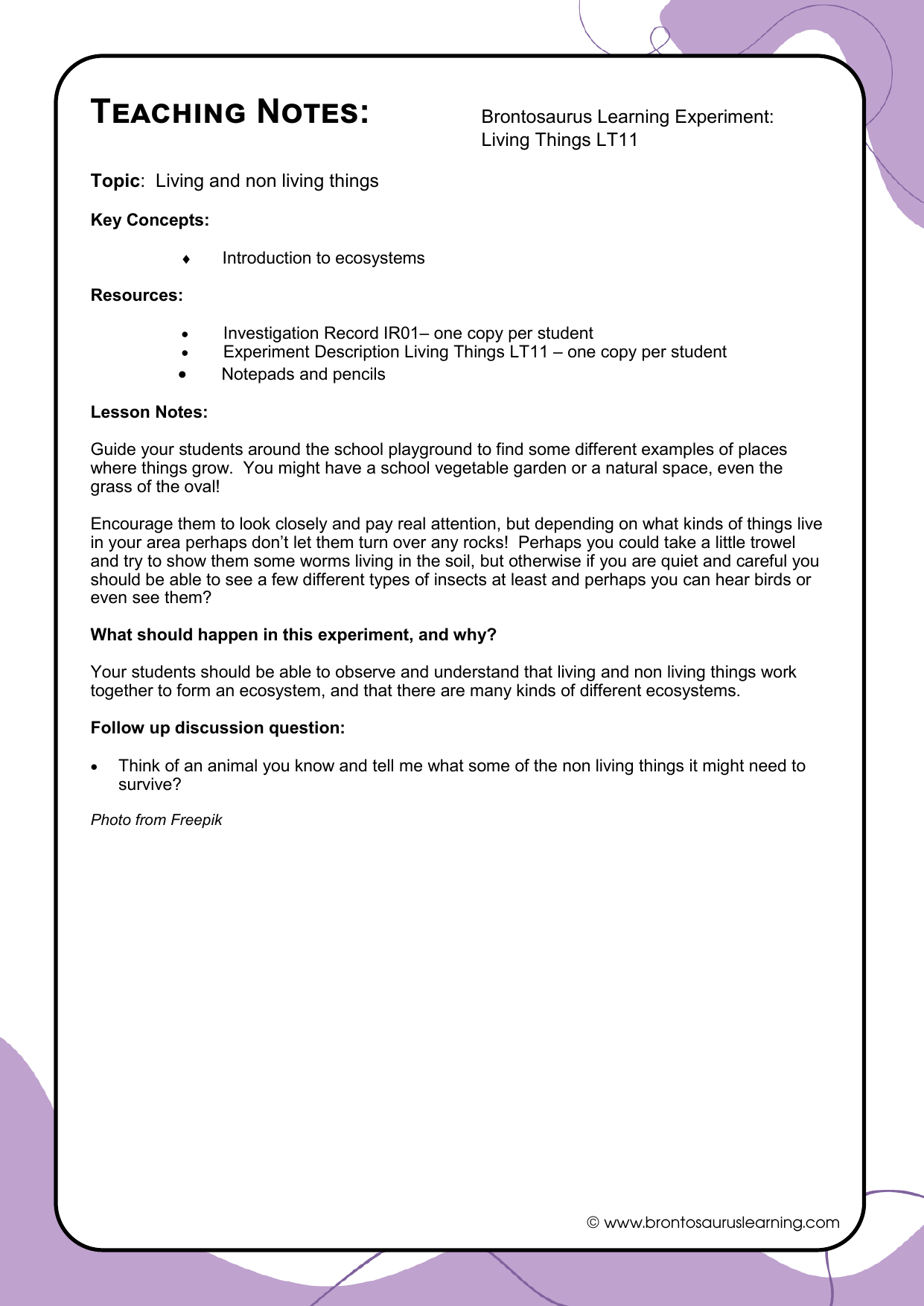 Teacher notes page preview for Living Things Experiment: Design An Insect