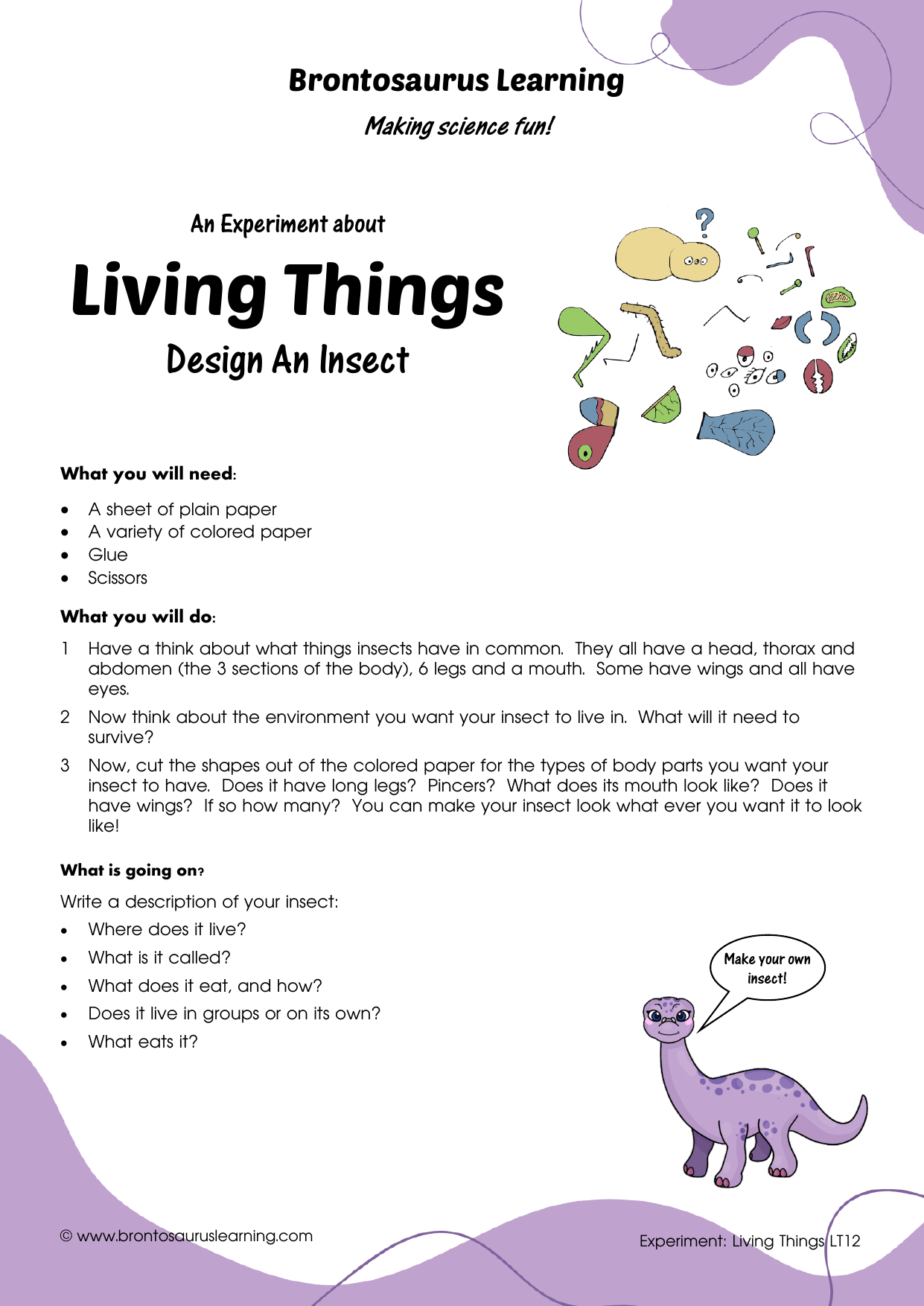 Student resource page preview for Living Things Experiment: Design An Insect