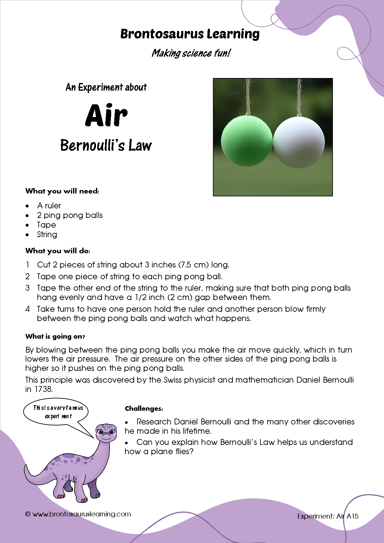 Student resource page preview for Air Experiment: Bernoulli's Law