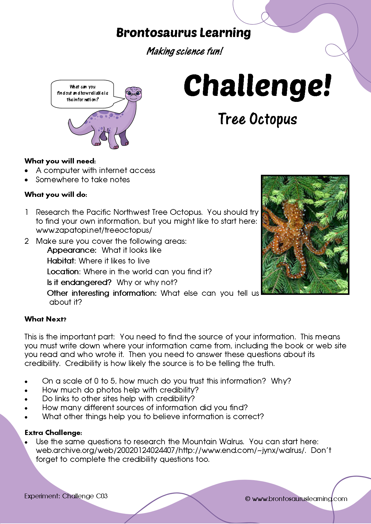 Student resource page preview for Challenge Activity: Tree Octopus