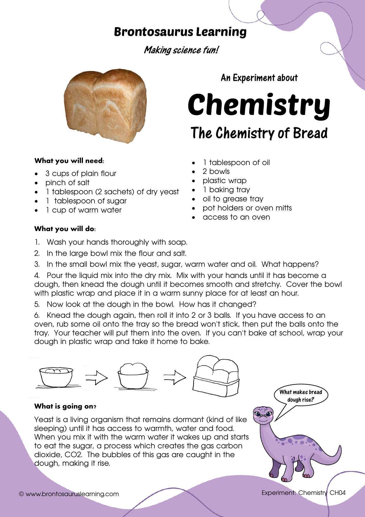draft 5 Chemistry Experiment: The Chemistry of Bread