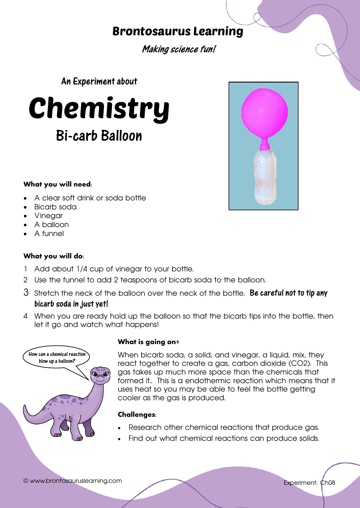 Student resource page preview for Chemistry Experiment: Bi-carb Balloon