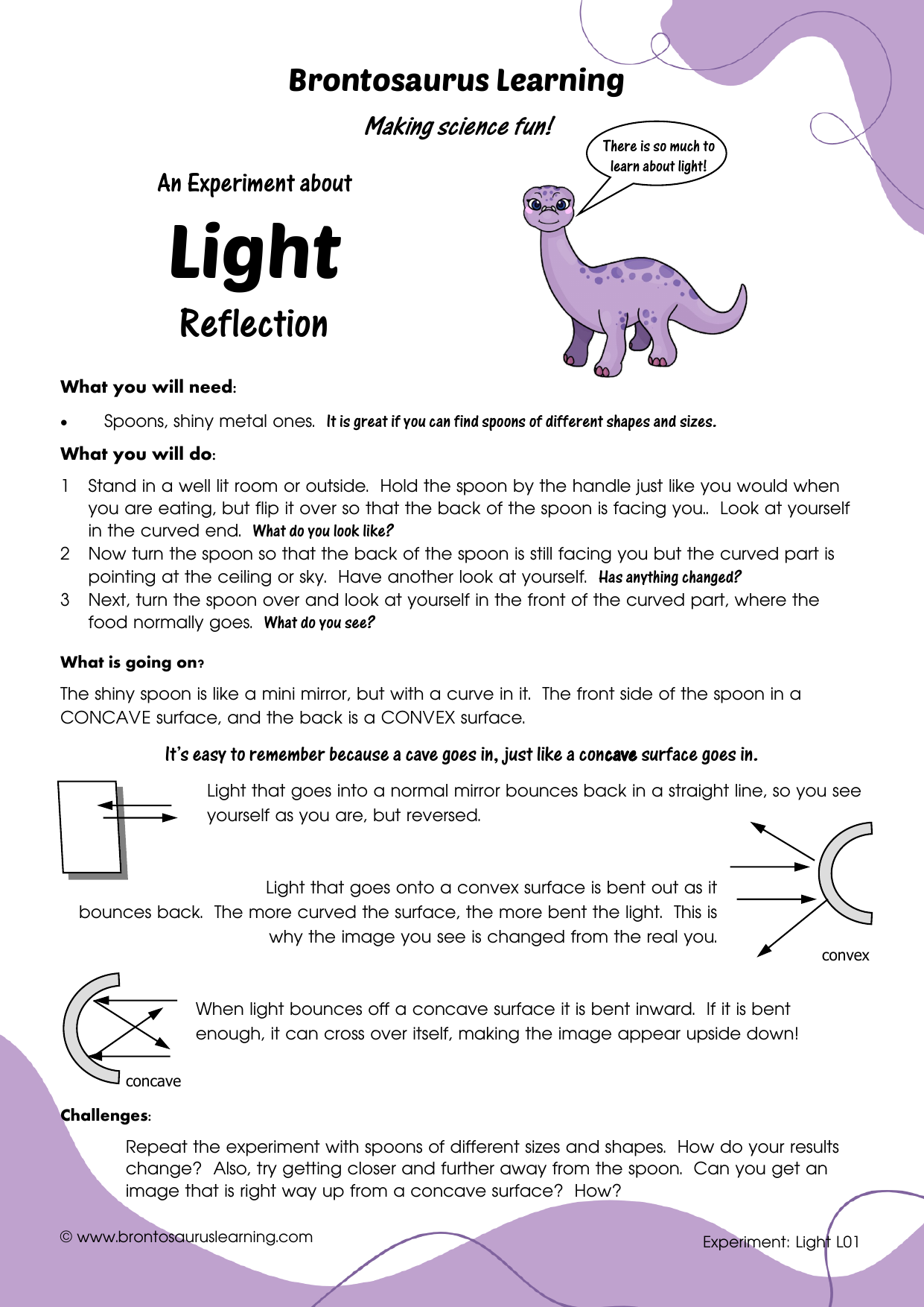 Light Experiment L01: Reflective Spoons 2 Student resource page preview for Light Experiment: Reflective Spoons