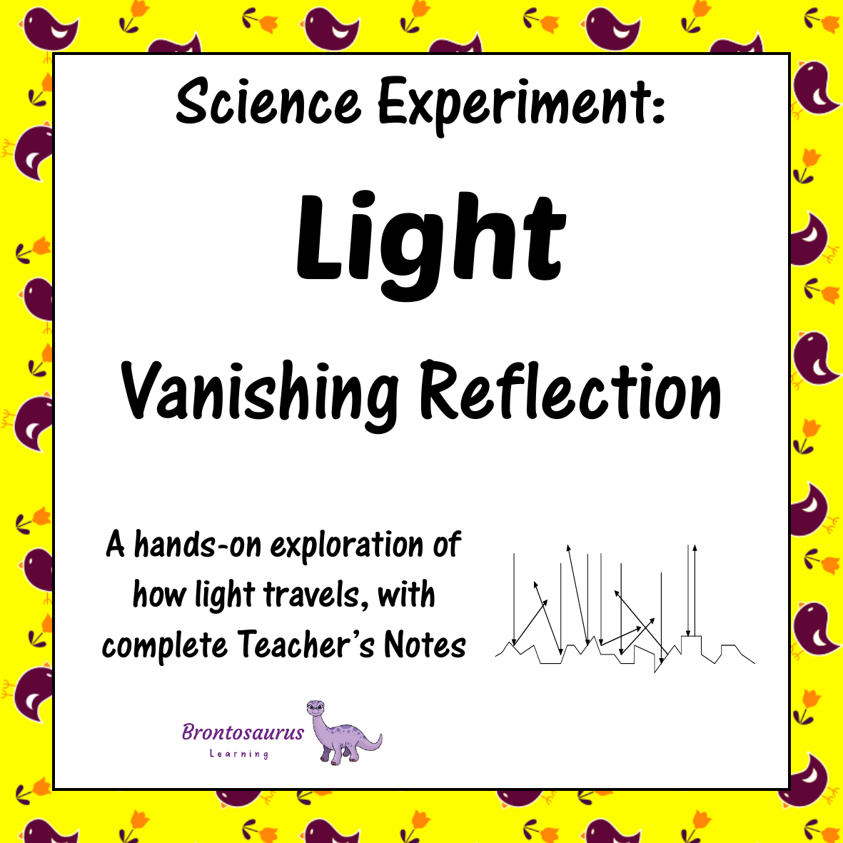 Light Experiments 6 Light Experiment: Vanishing Reflection