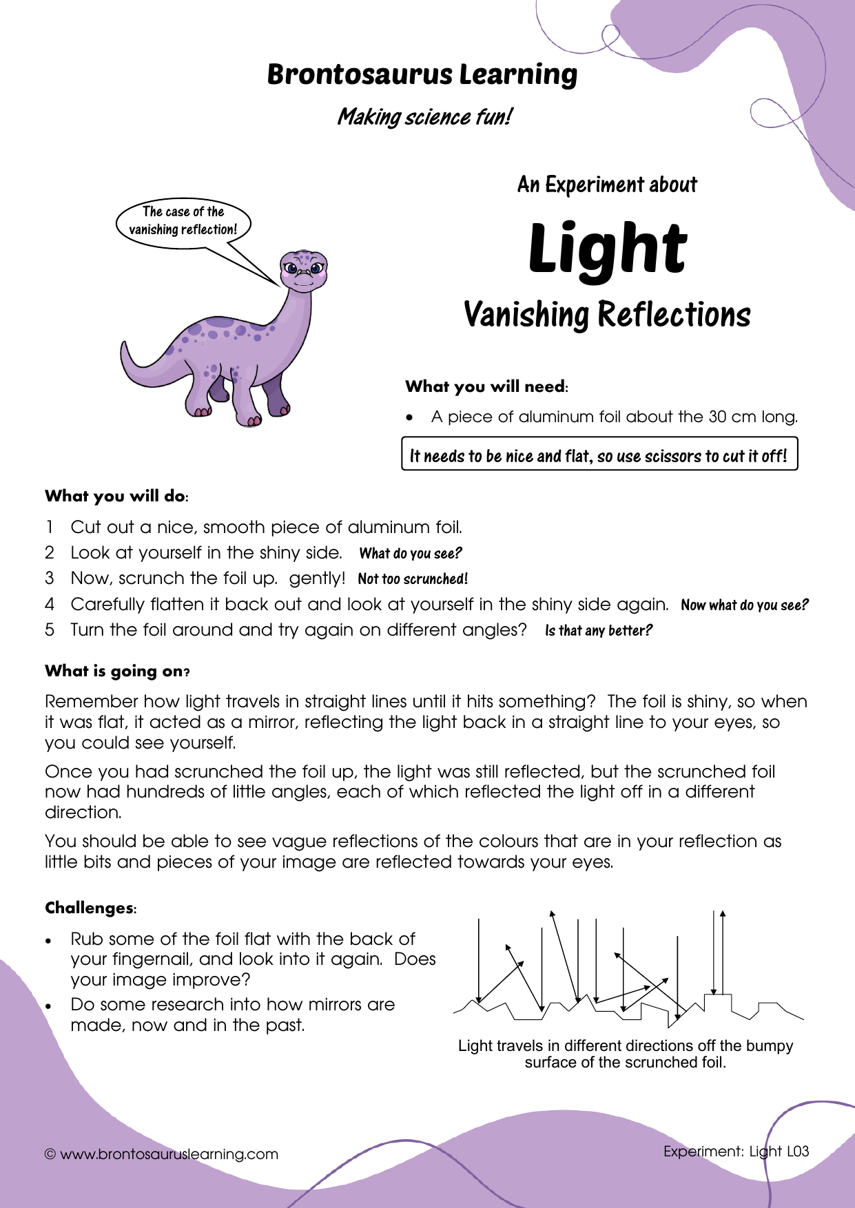 Light Experiment L03: Vanishing Reflections 2 Student resource page preview for Light Experiment: Vanishing Reflection