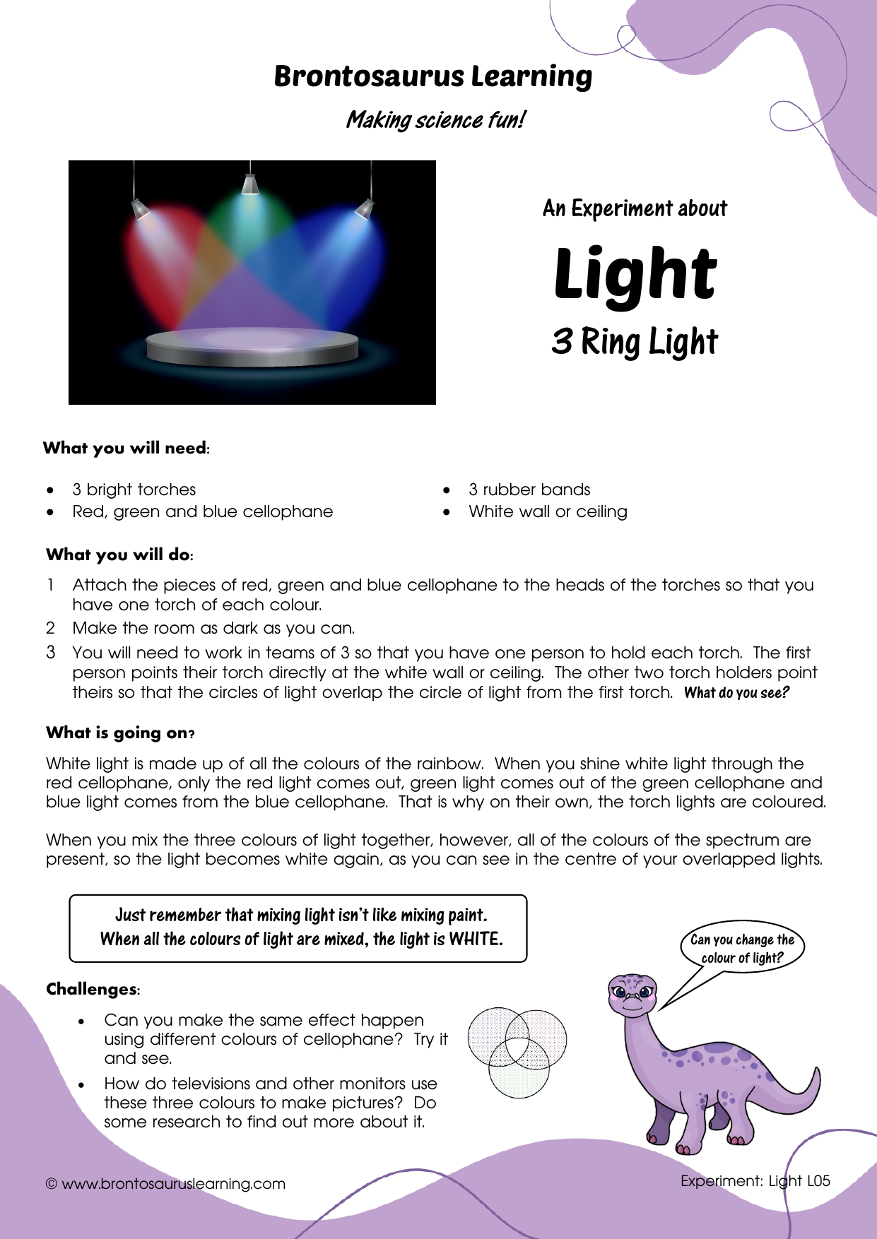 Light Experiment L05: 3 Ring Light 2 Student resource page preview for Light Experiment: 3 Ring Light