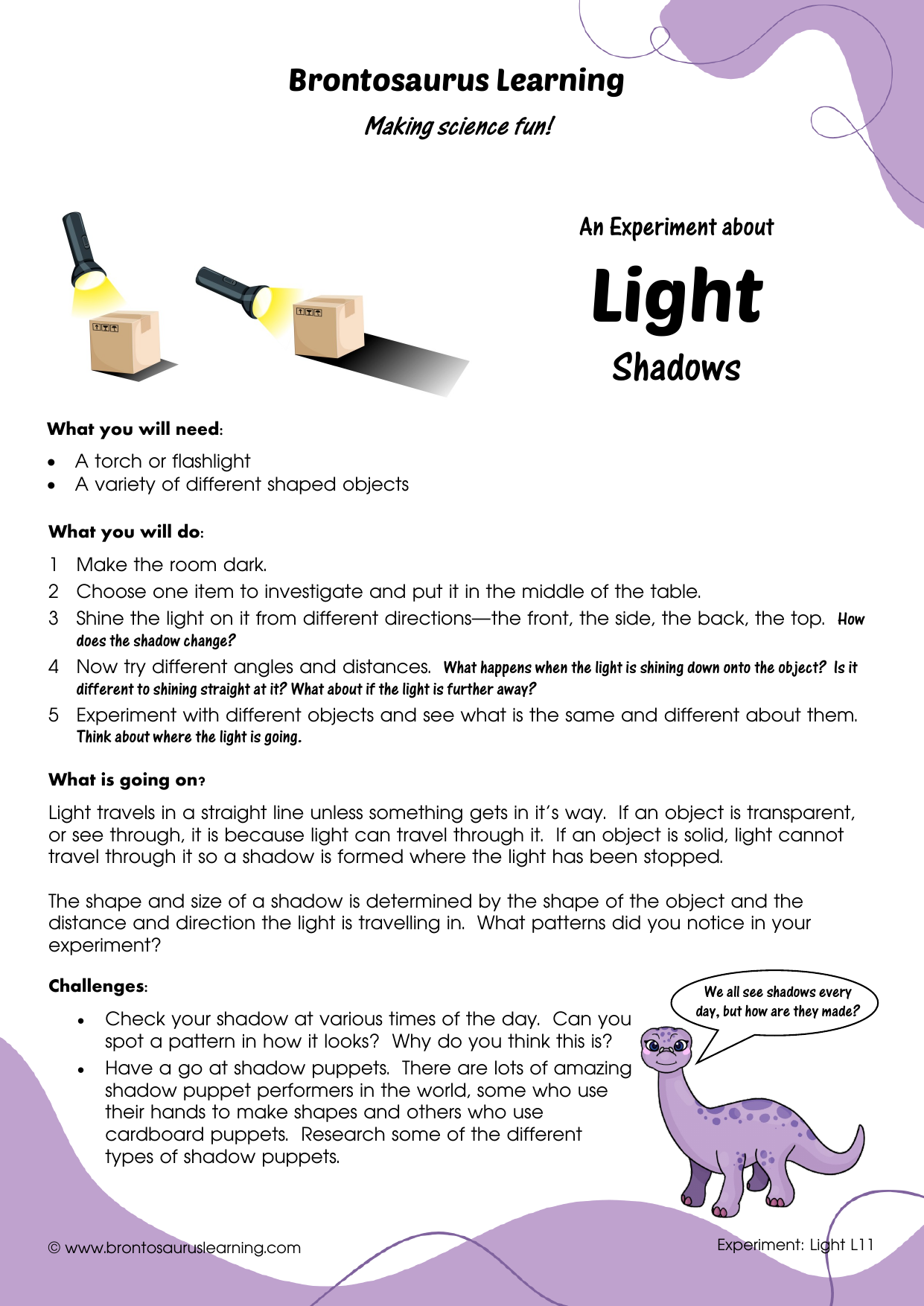 Student resource page preview for Light Experiment: Investigating Shadows