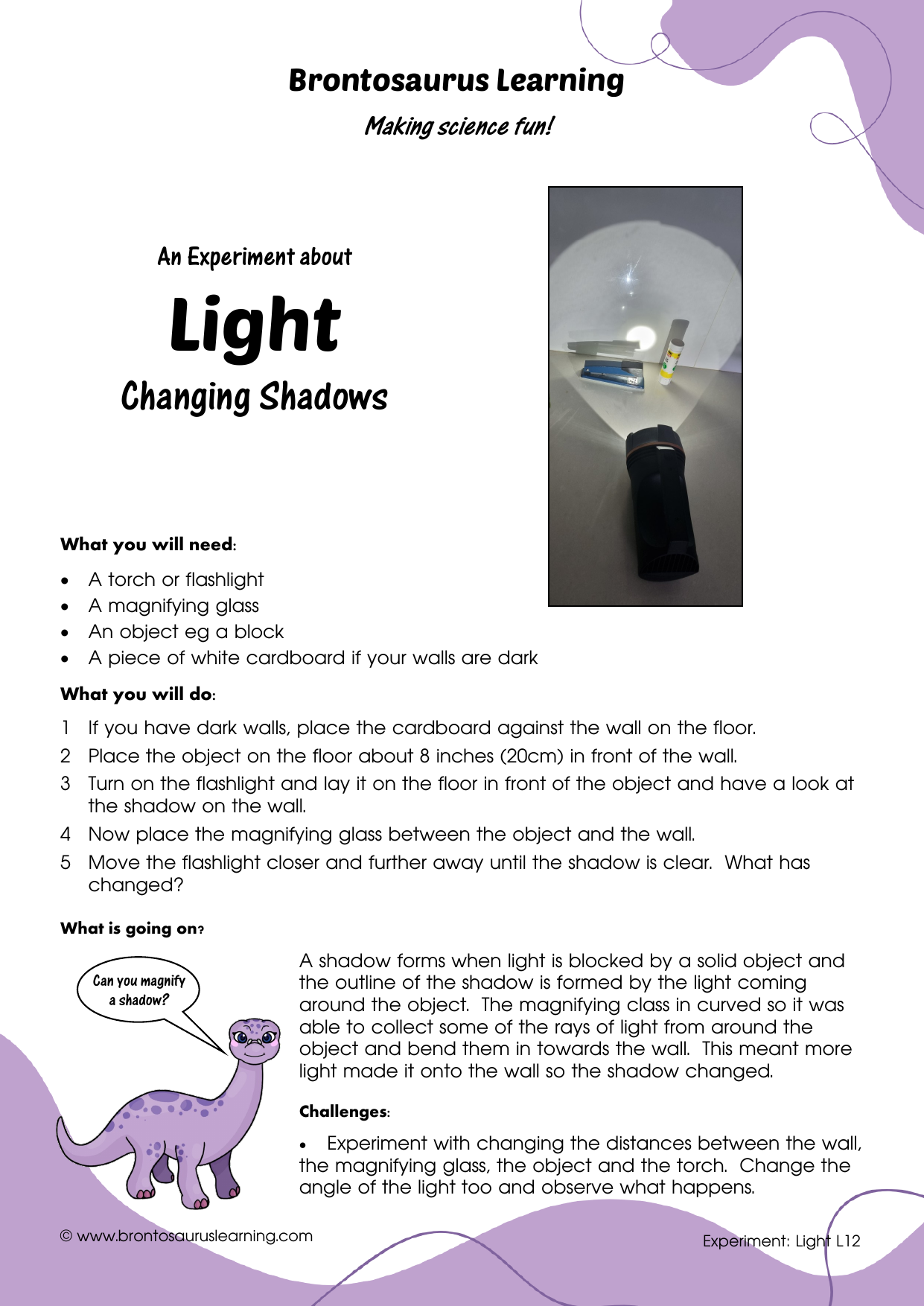 Light Experiment L12: Magnifying Shadows 2 Student resource page preview for Light Experiment: Magnifying Shadows