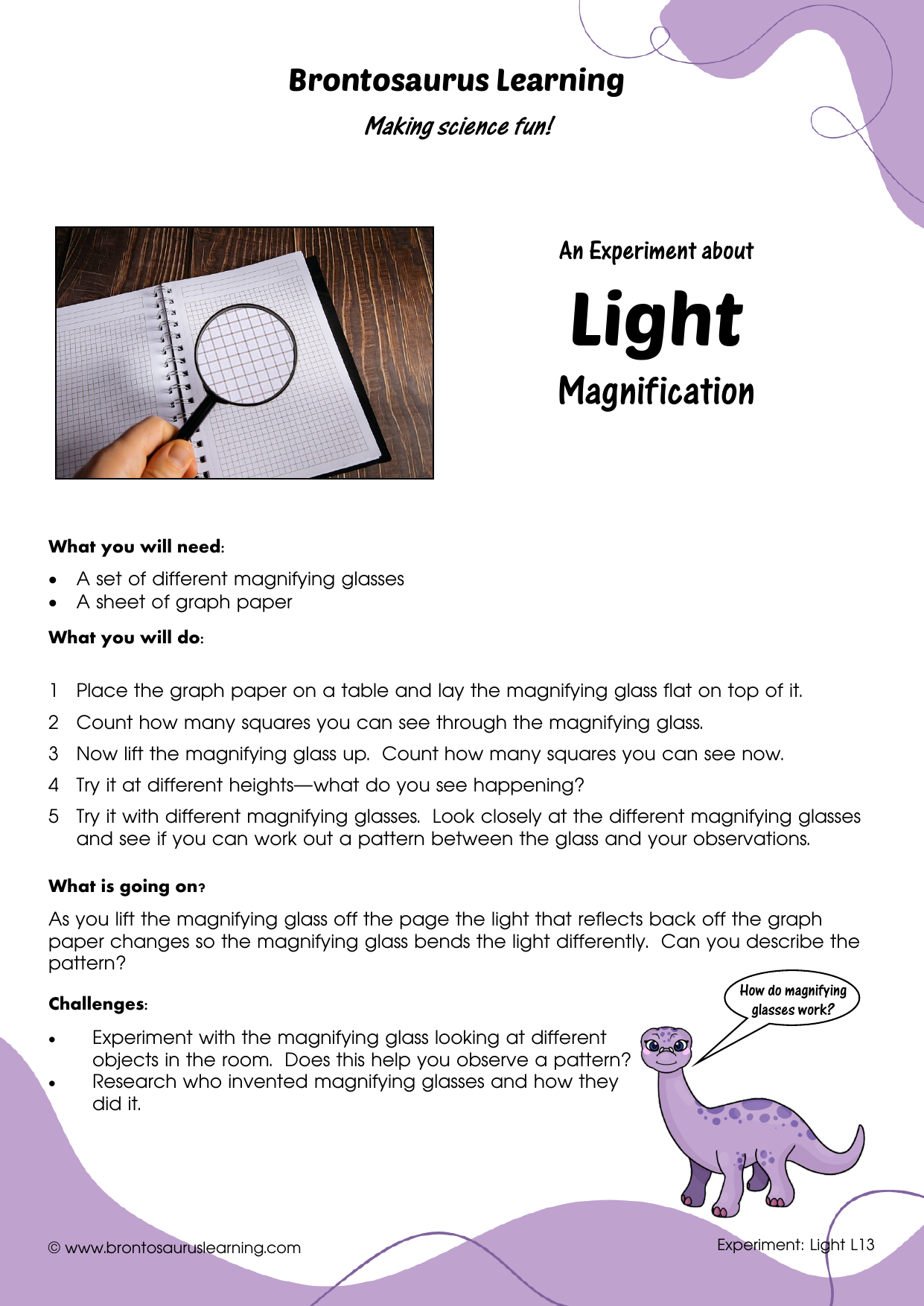 Light Experiment L13: Magnifying Measurement 2 Student resource page preview for Light Experiment: Magnifying Measurement