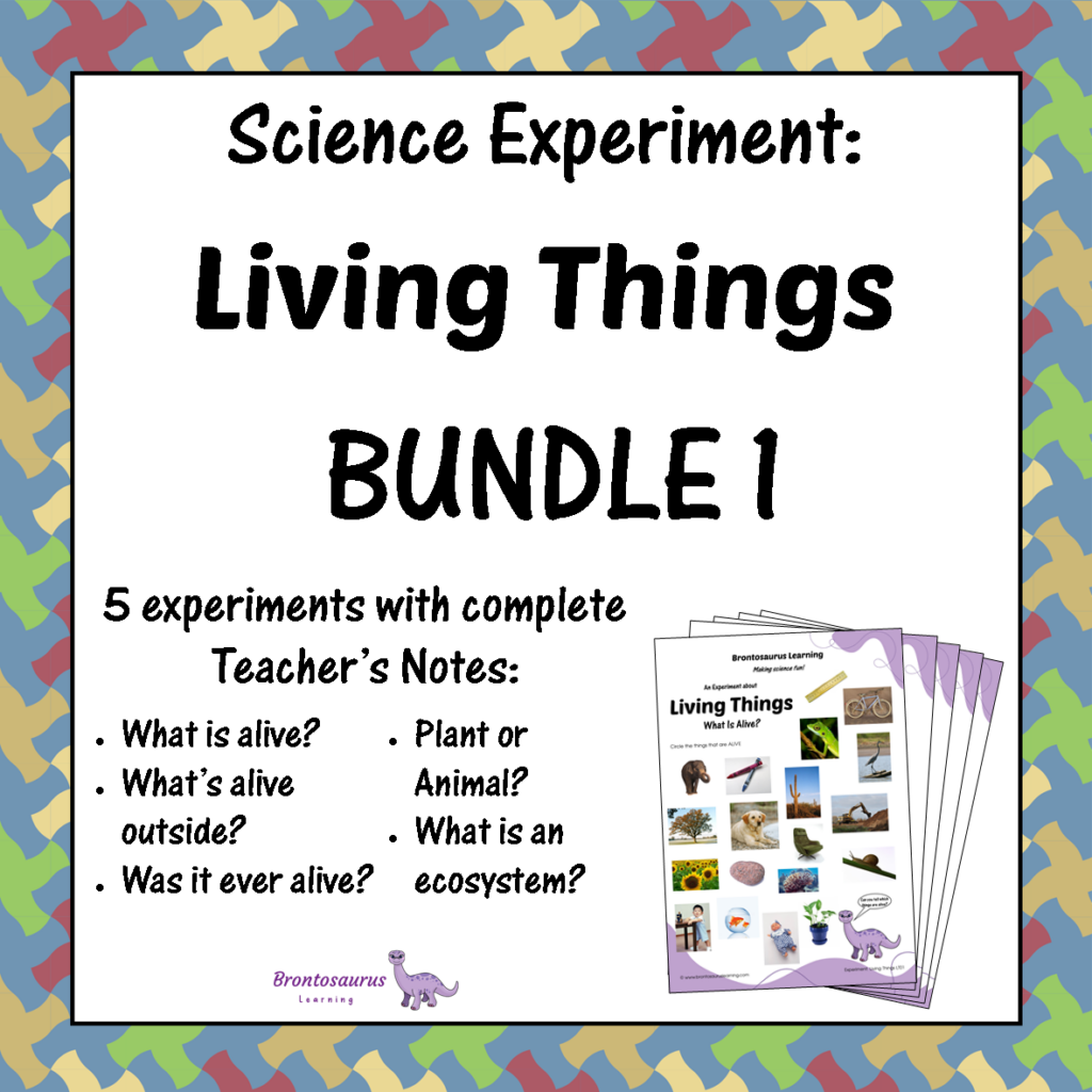 Living Things Experiments 2