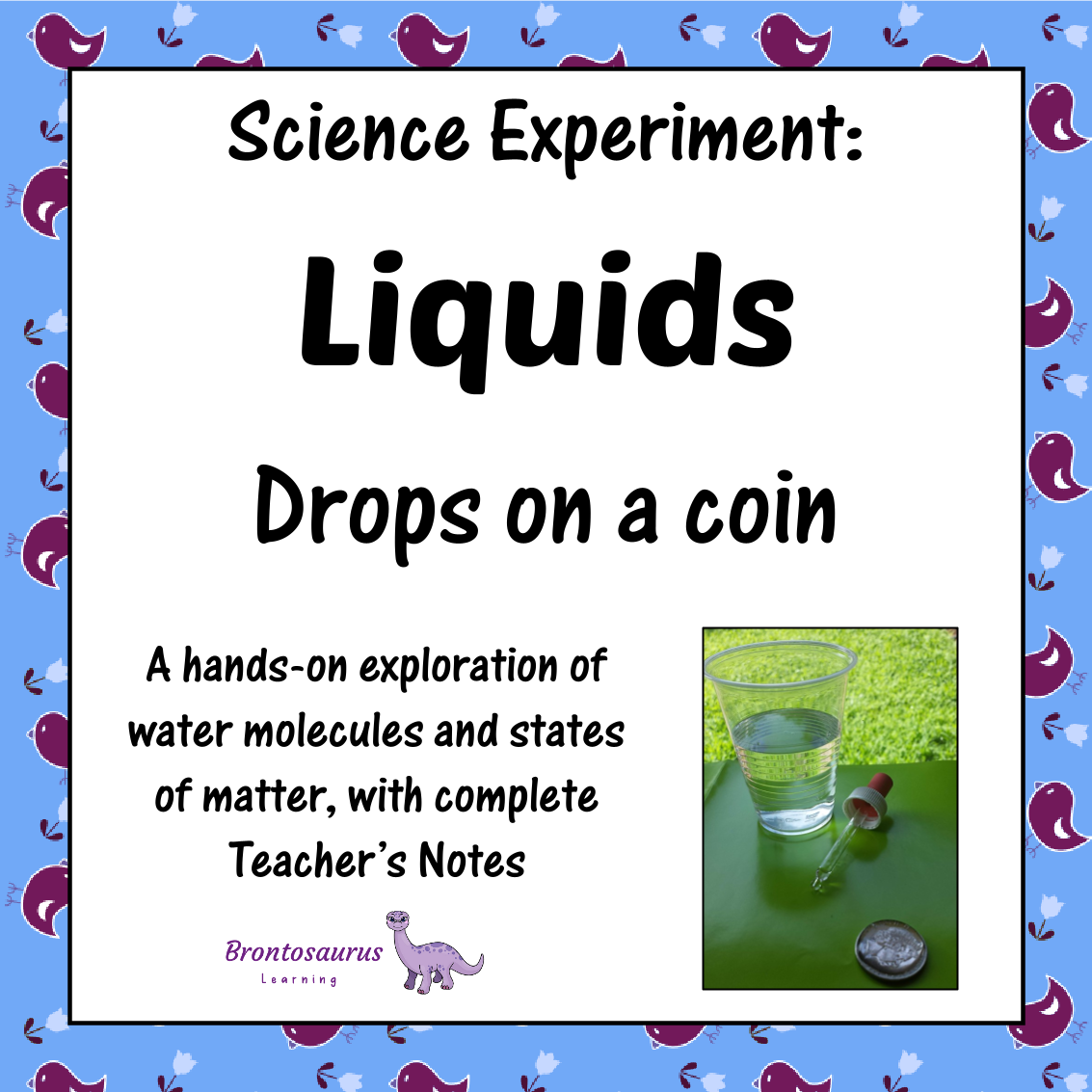 Liquids Experiments 7 Liquids Experiment: Surface Tension - Drops on a Coin