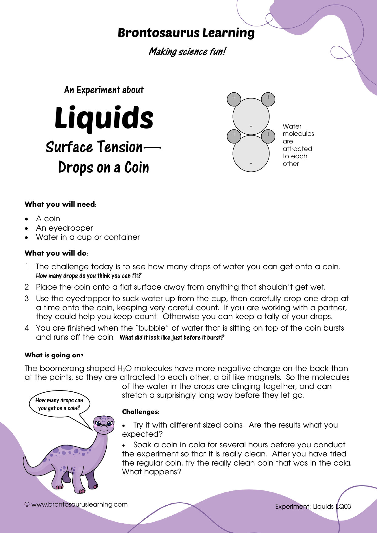 Student resource page preview for Liquids Experiment: Surface Tension - Drops on a Coin