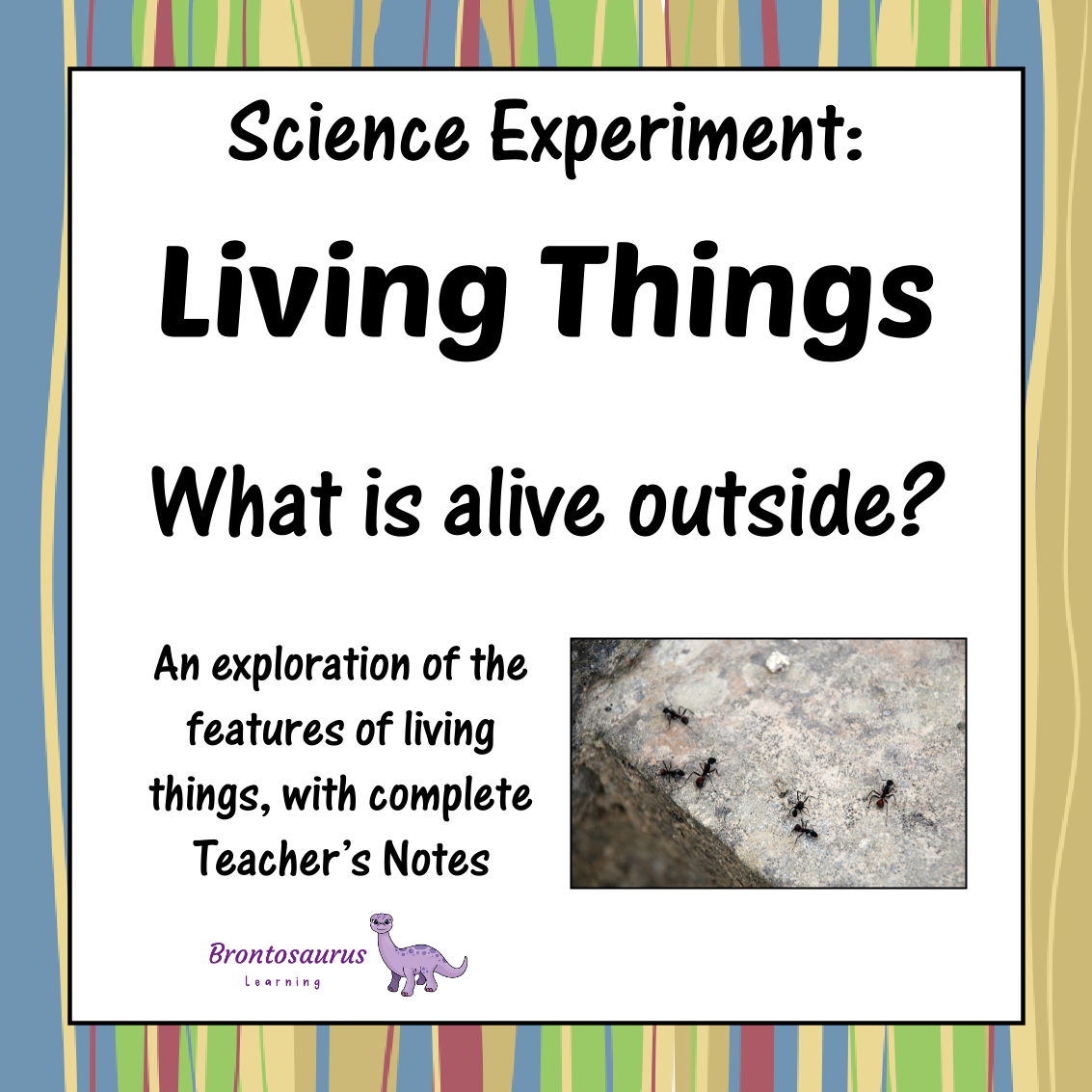 Living Things Experiments 4 Living Things Experiment: Was it Ever Alive?