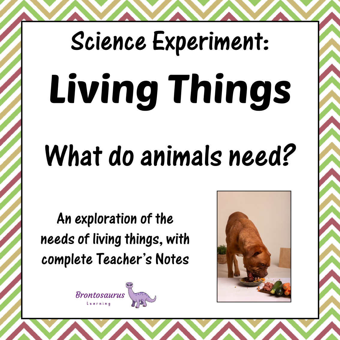 Living Things Experiments 6 Living Things Experiment: Collecting Animals