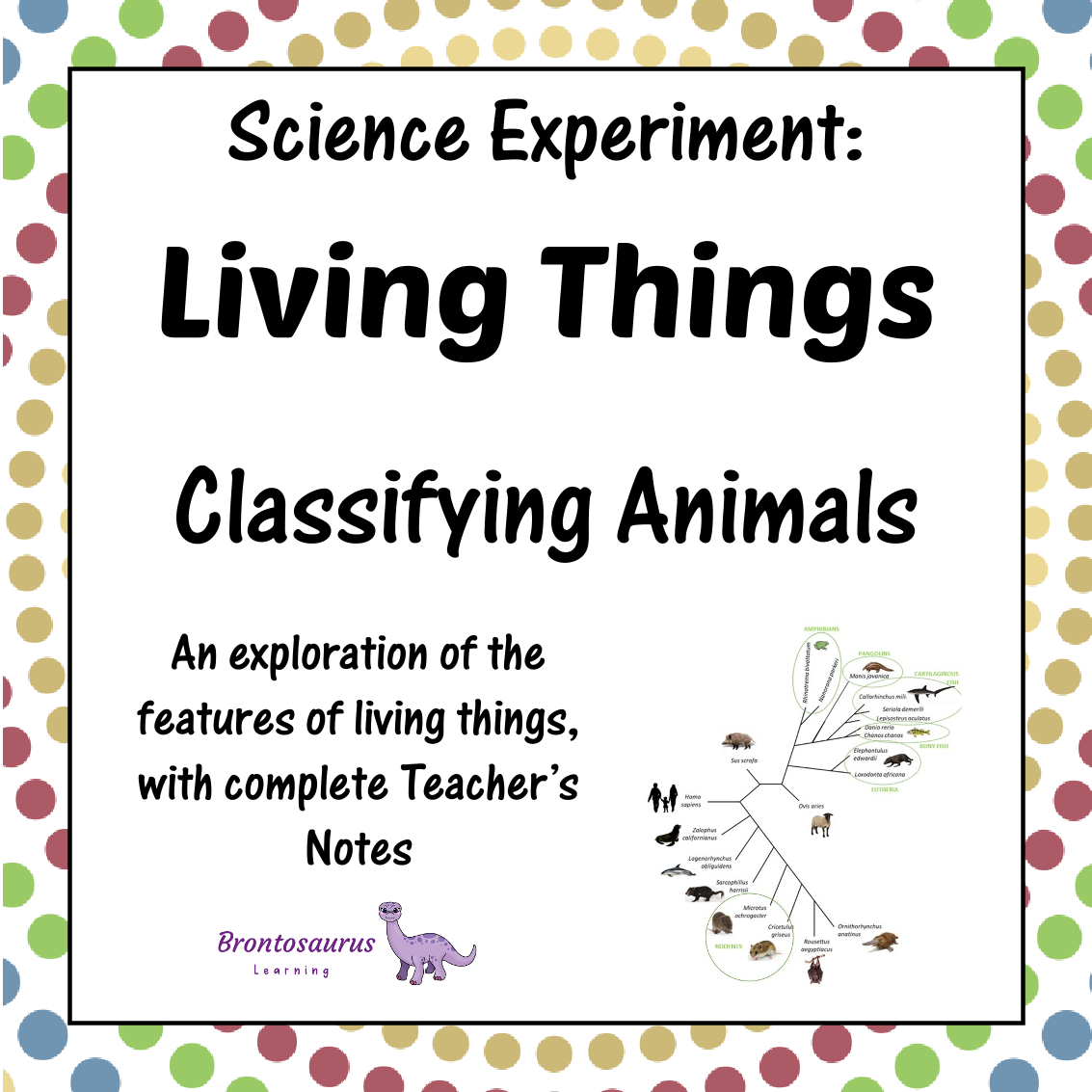 Living Things Experiments 8 Living Things Experiment: Plant or Animal?