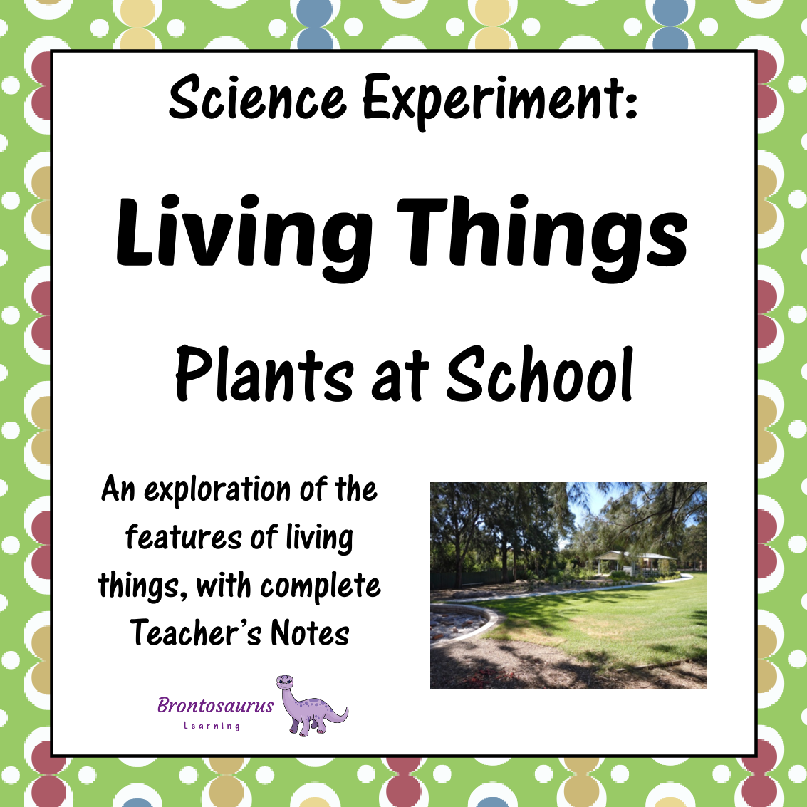 Living Things Experiment: Plants at School