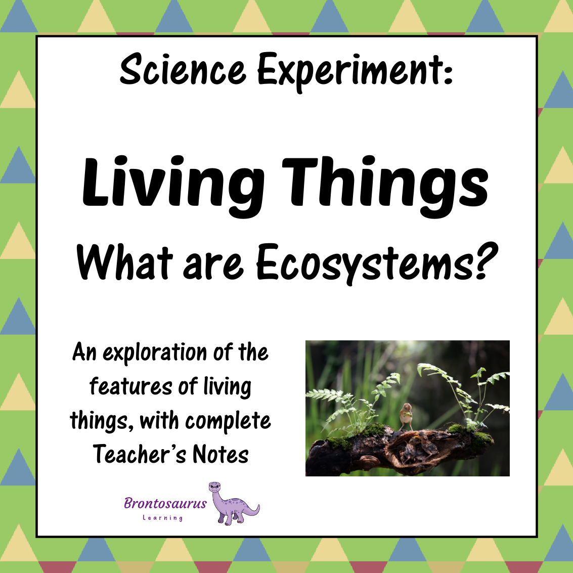 Living Things Experiments 10 Living Things Experiment: Design An Insect