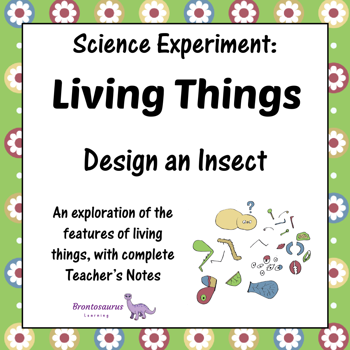 Living Things Experiment: Design An Insect