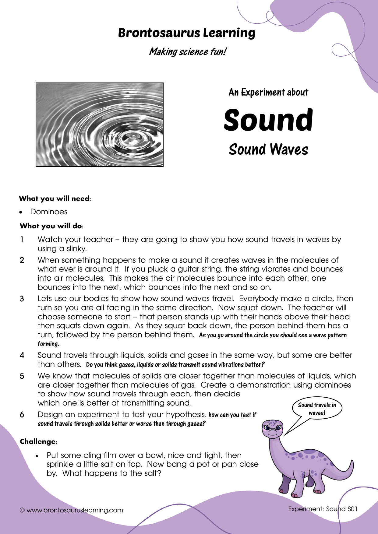 Sound Experiment S02: Sound Direction 2 Student resource page preview for Sound Experiment: Sound Directionality