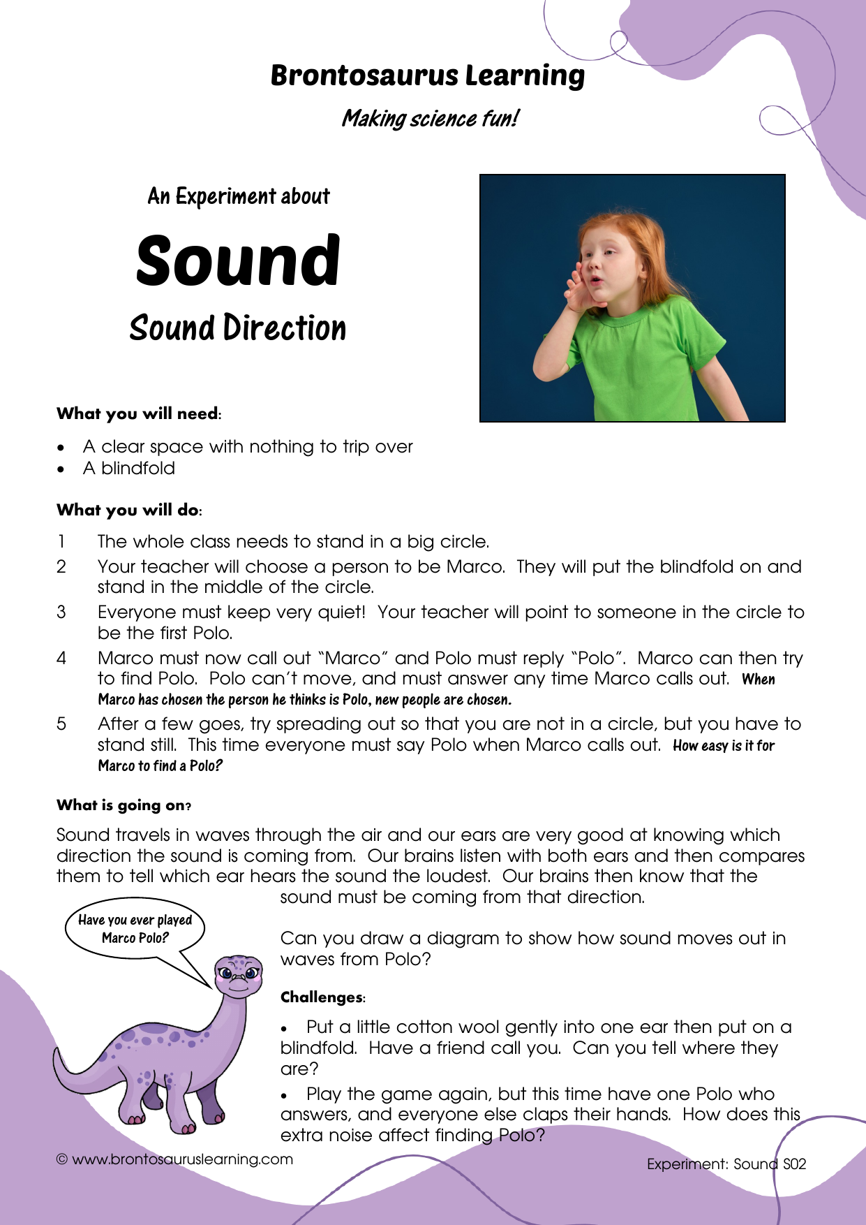 Student resource page preview for Sound Experiment: Sound Amplification
