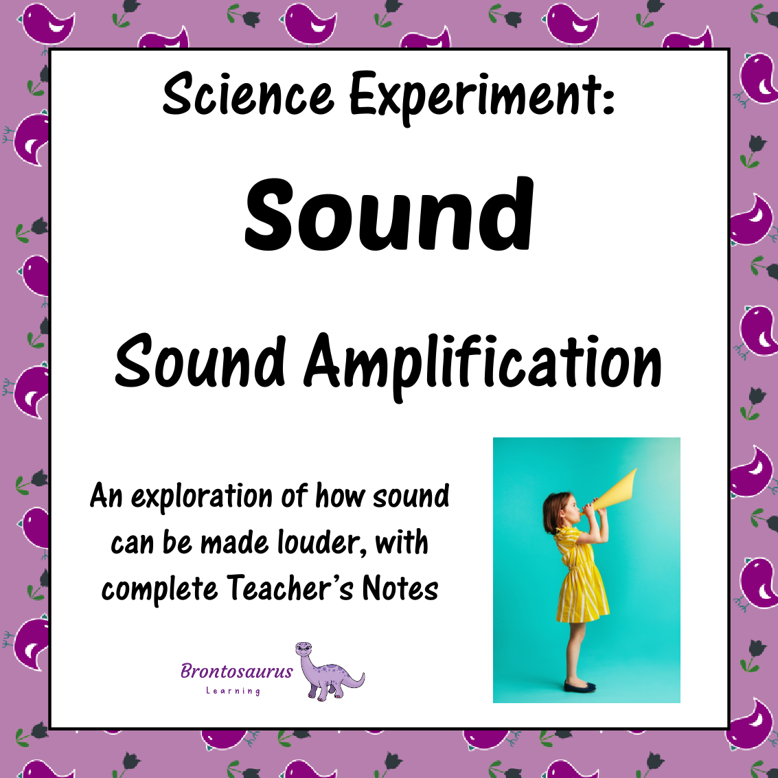 Sound Experiment: Hydrophone