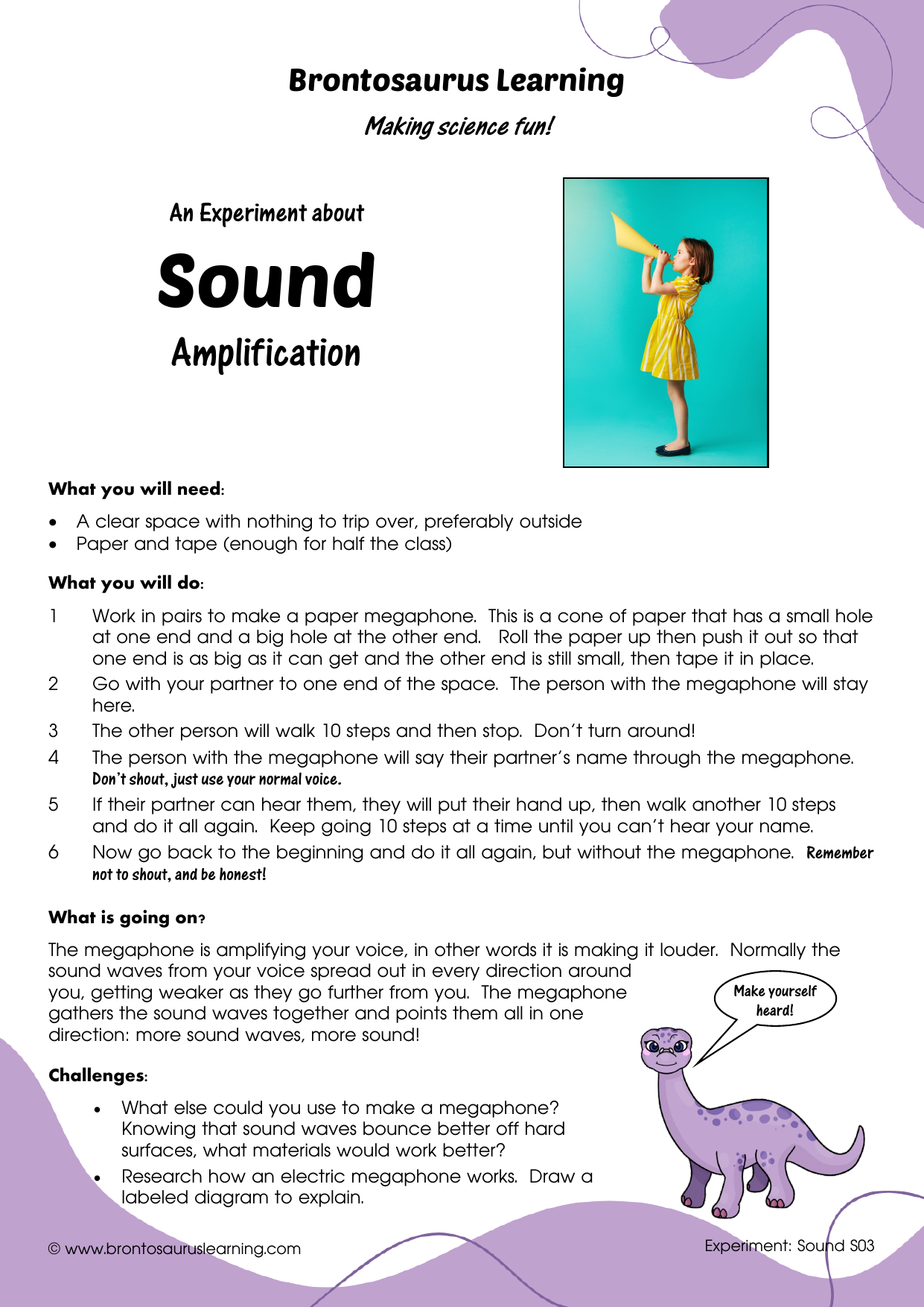 Student resource page preview for Sound Experiment: Hydrophone