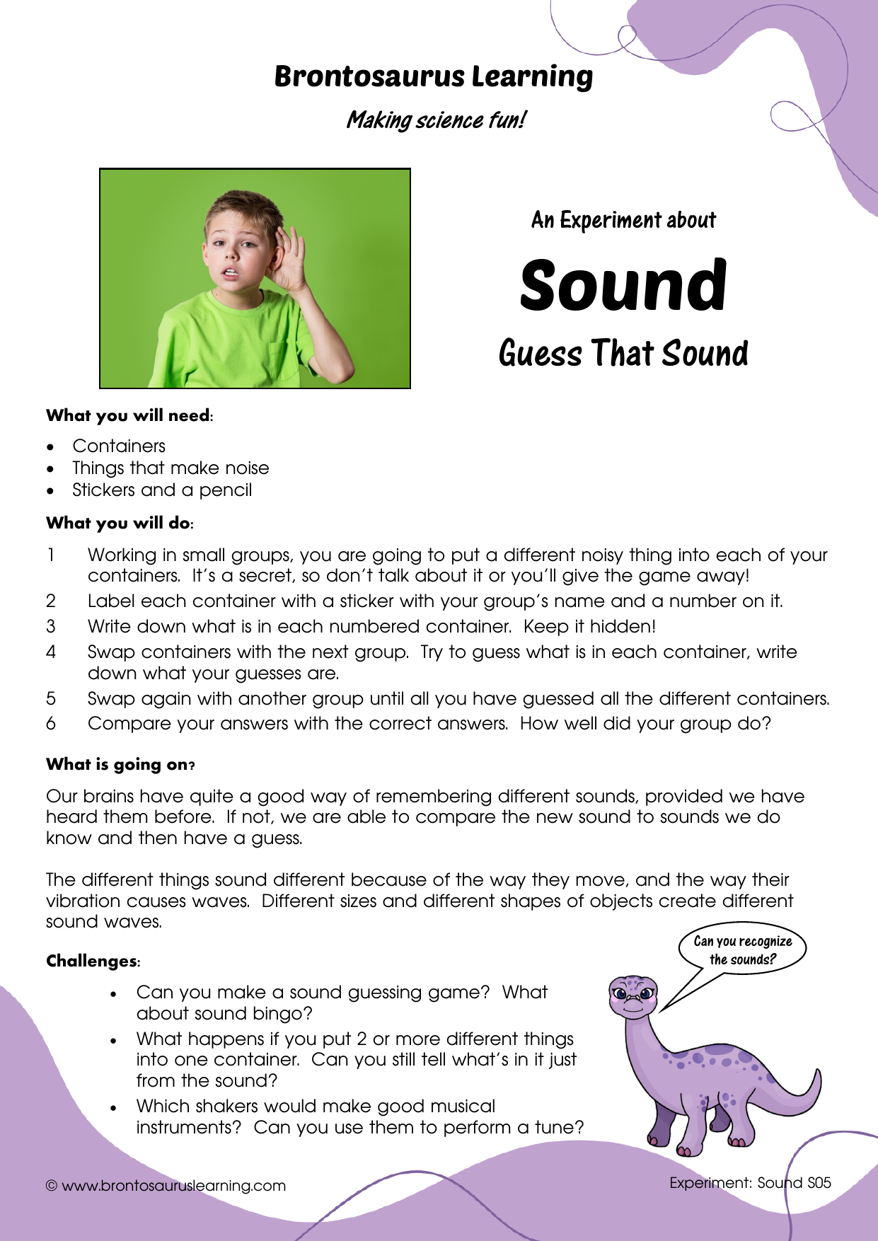 Student resource page preview for Sound Experiment: Balloon Amplifier