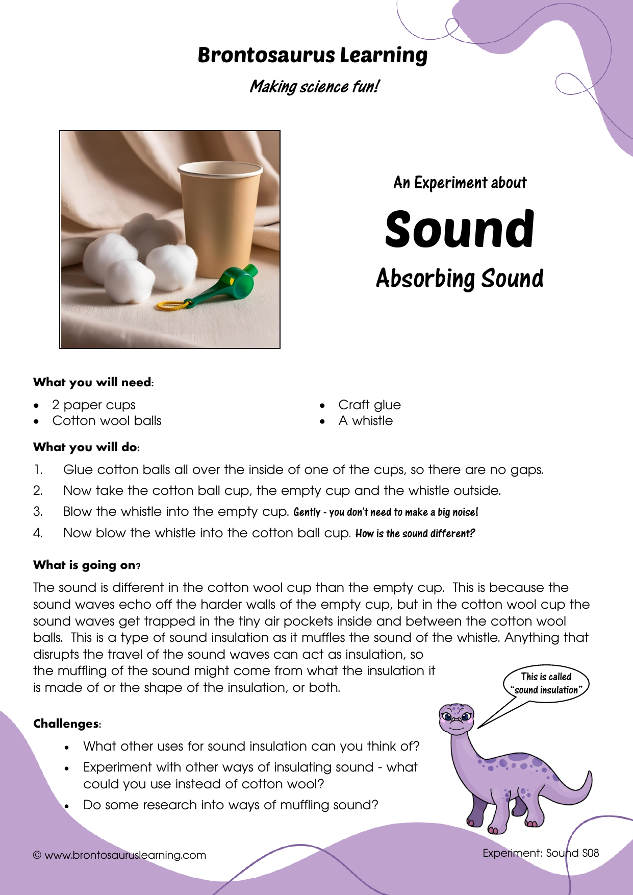 Student resource page preview for Sound Experiment: Box Guitar