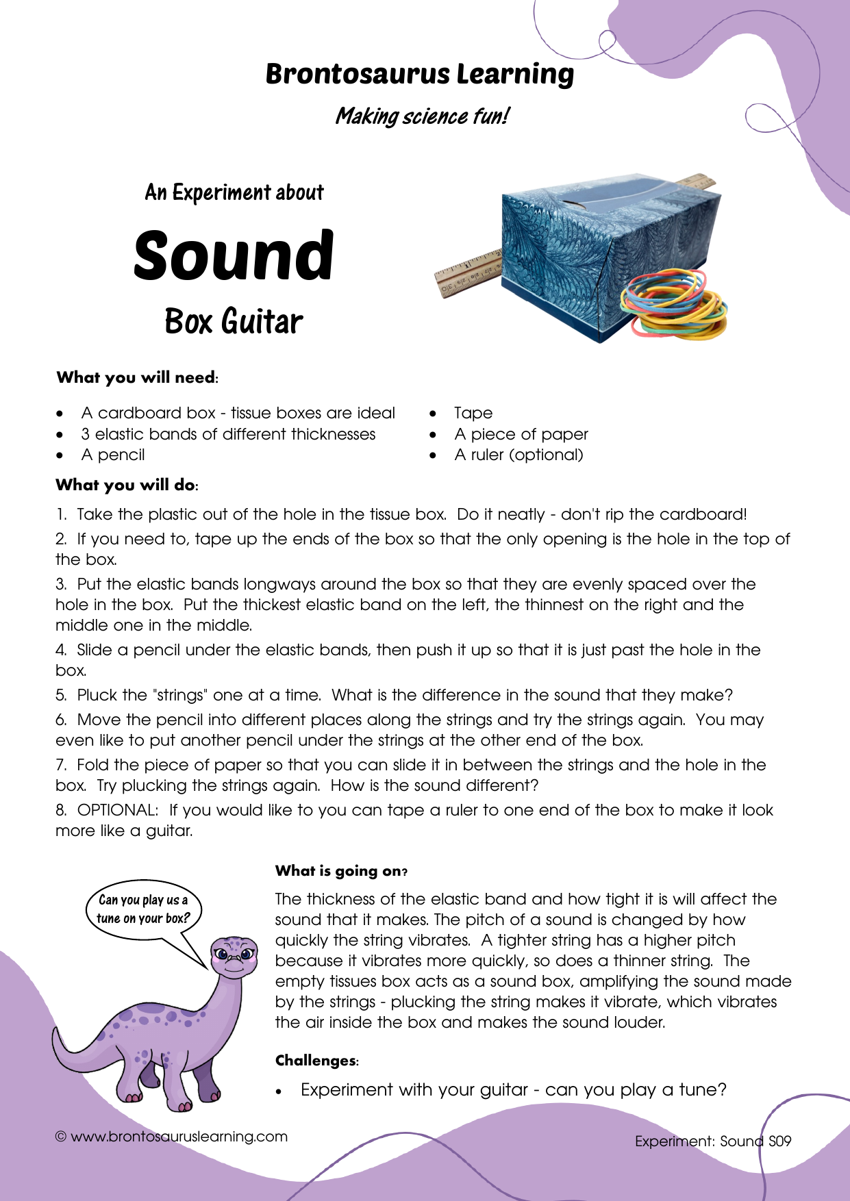 Sound Experiment S10: Chicken Call 2 Student resource page preview for Sound Experiment: Chicken Call