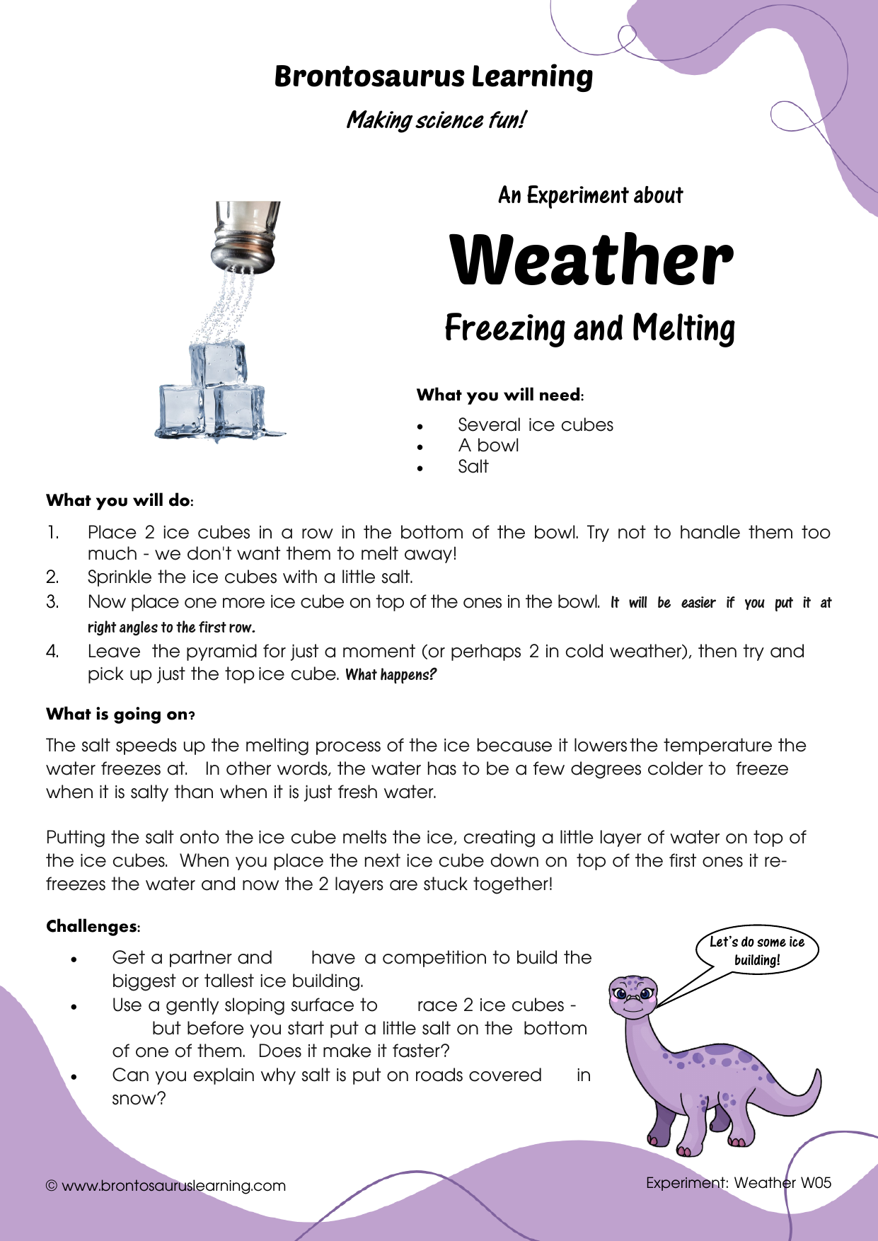 Weather Experiment W06: Follow the Sun 2 Student resource page preview for Weather Experiment: Follow the Sun