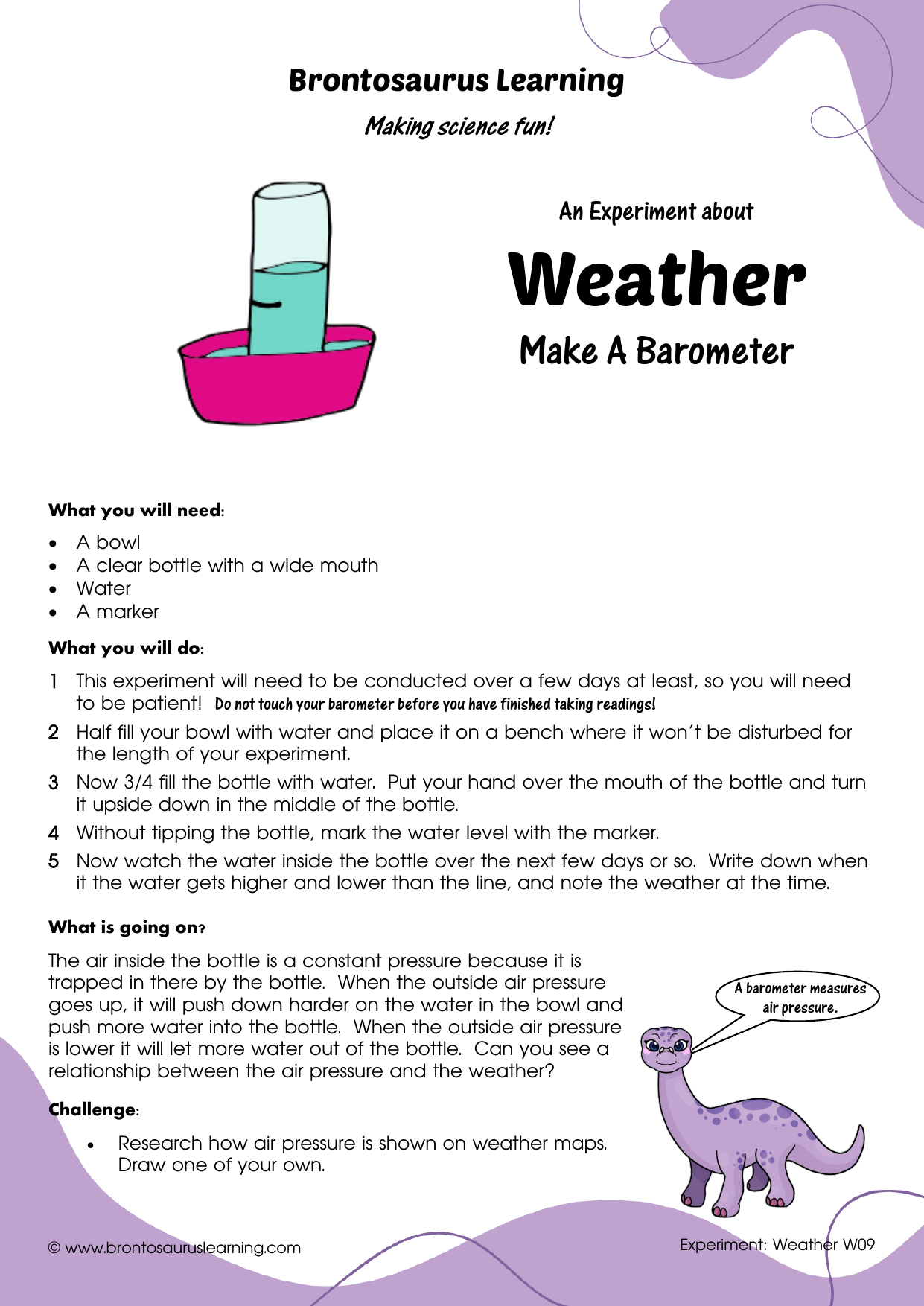 Student resource page preview for Weather Experiment: Rain Gauge